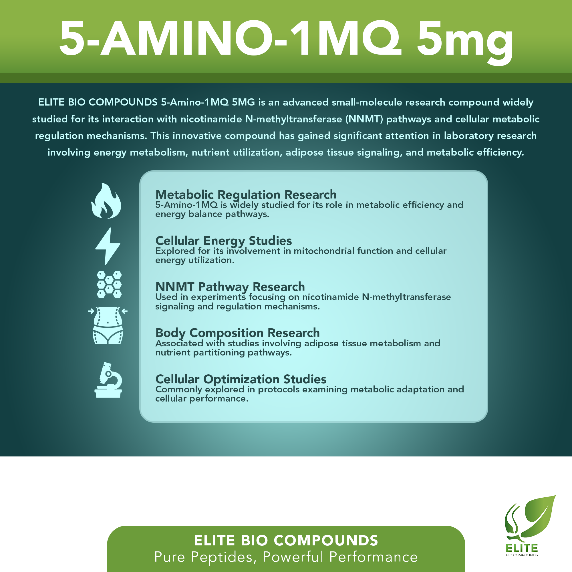 5-Amino-1MQ 5mg – Metabolic Wellness, Energy & Lifestyle Support | COA Verified