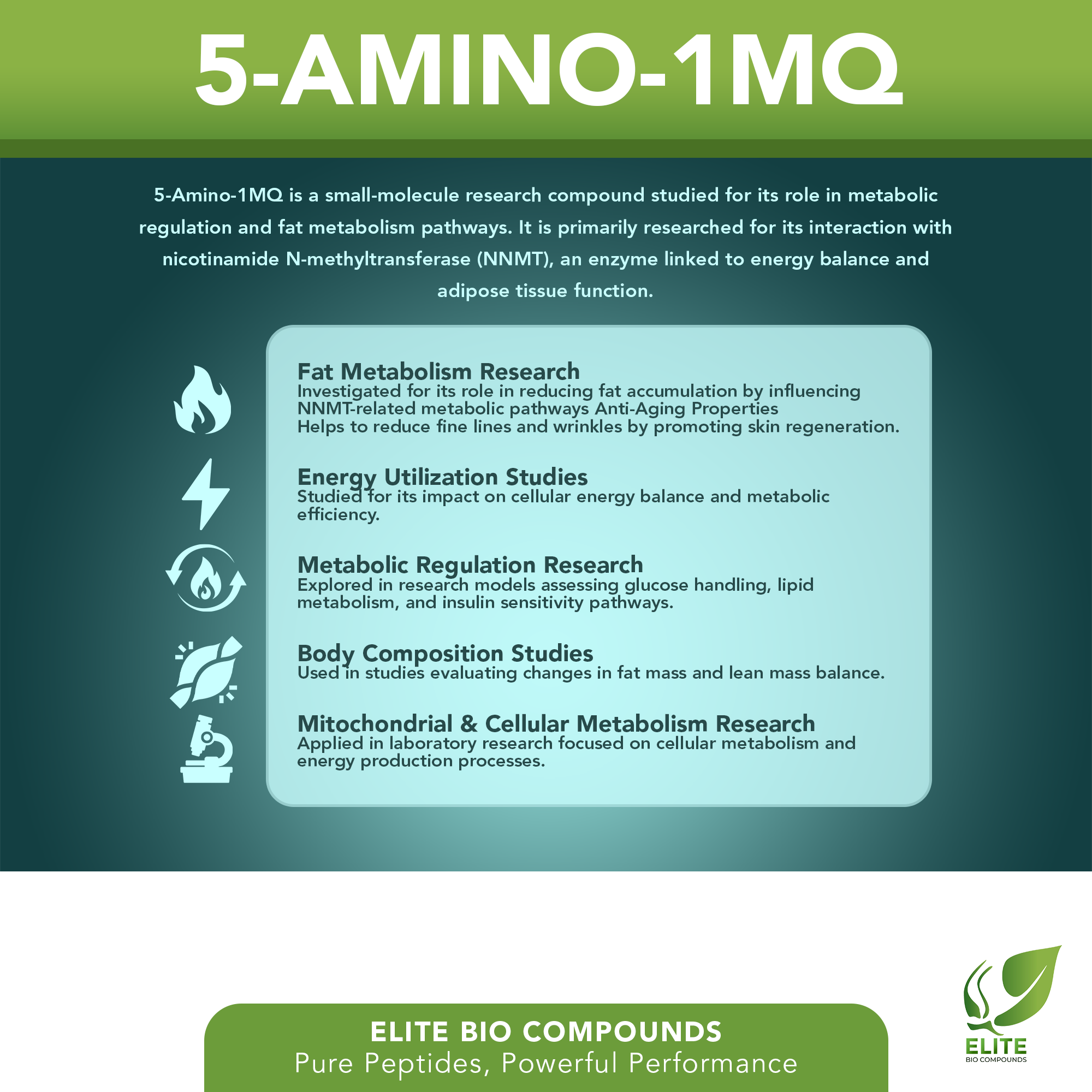 5-Amino-1MQ (10 mg) | Metabolic & Weight Management Support | COA Verified