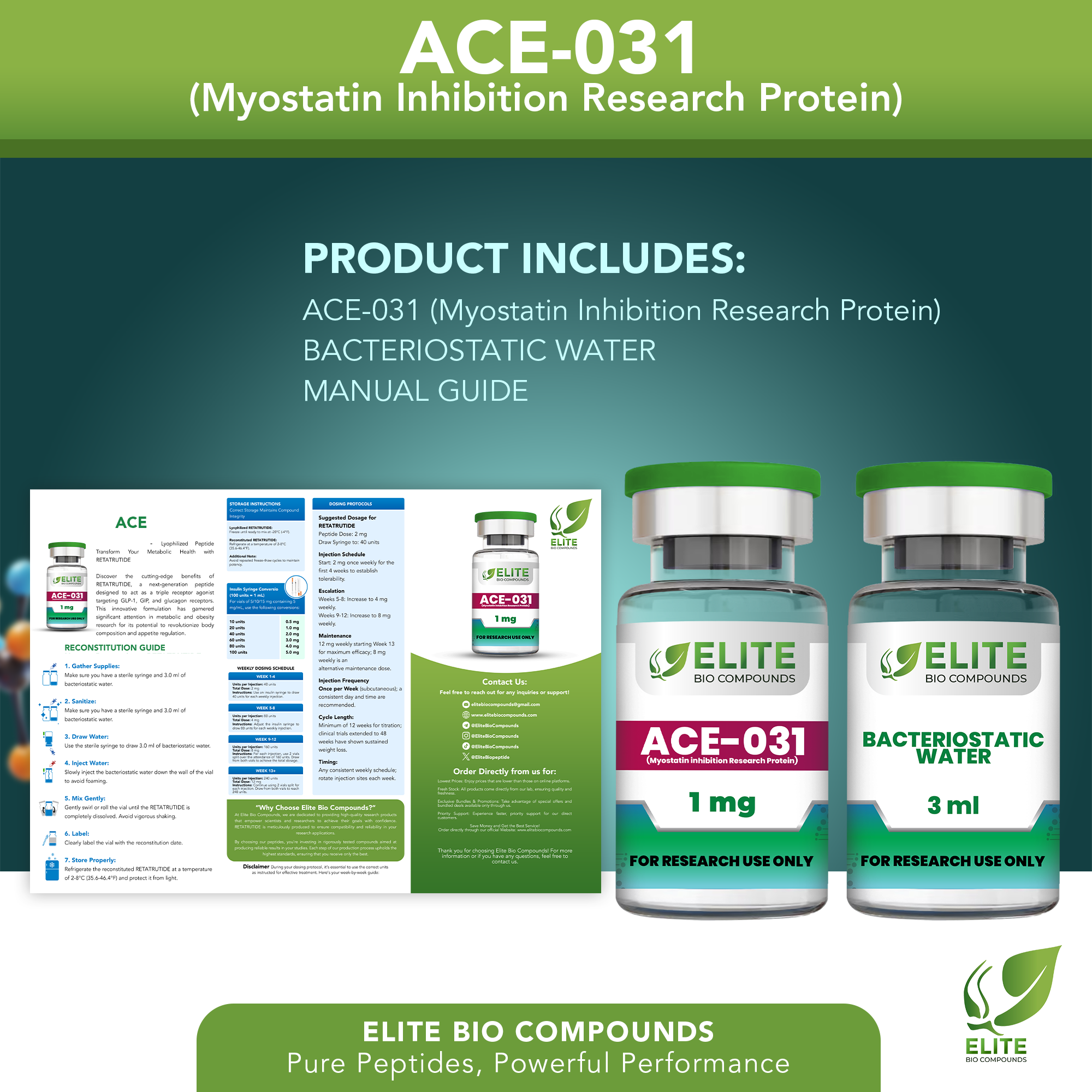 ACE-031 (1 mg) | Muscle Development Support Peptide | COA Verified