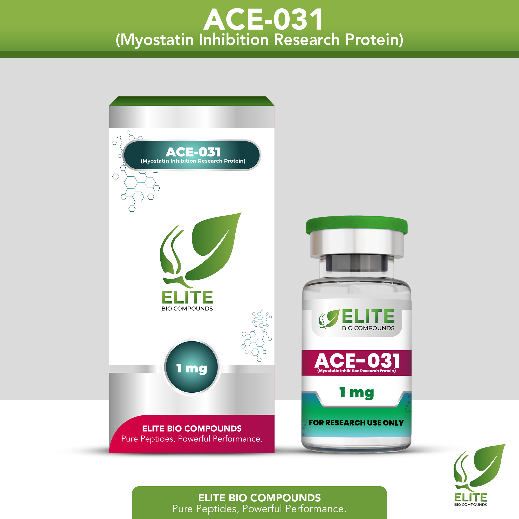 ACE-031 (1 mg) | Muscle Development Support Peptide | COA Verified