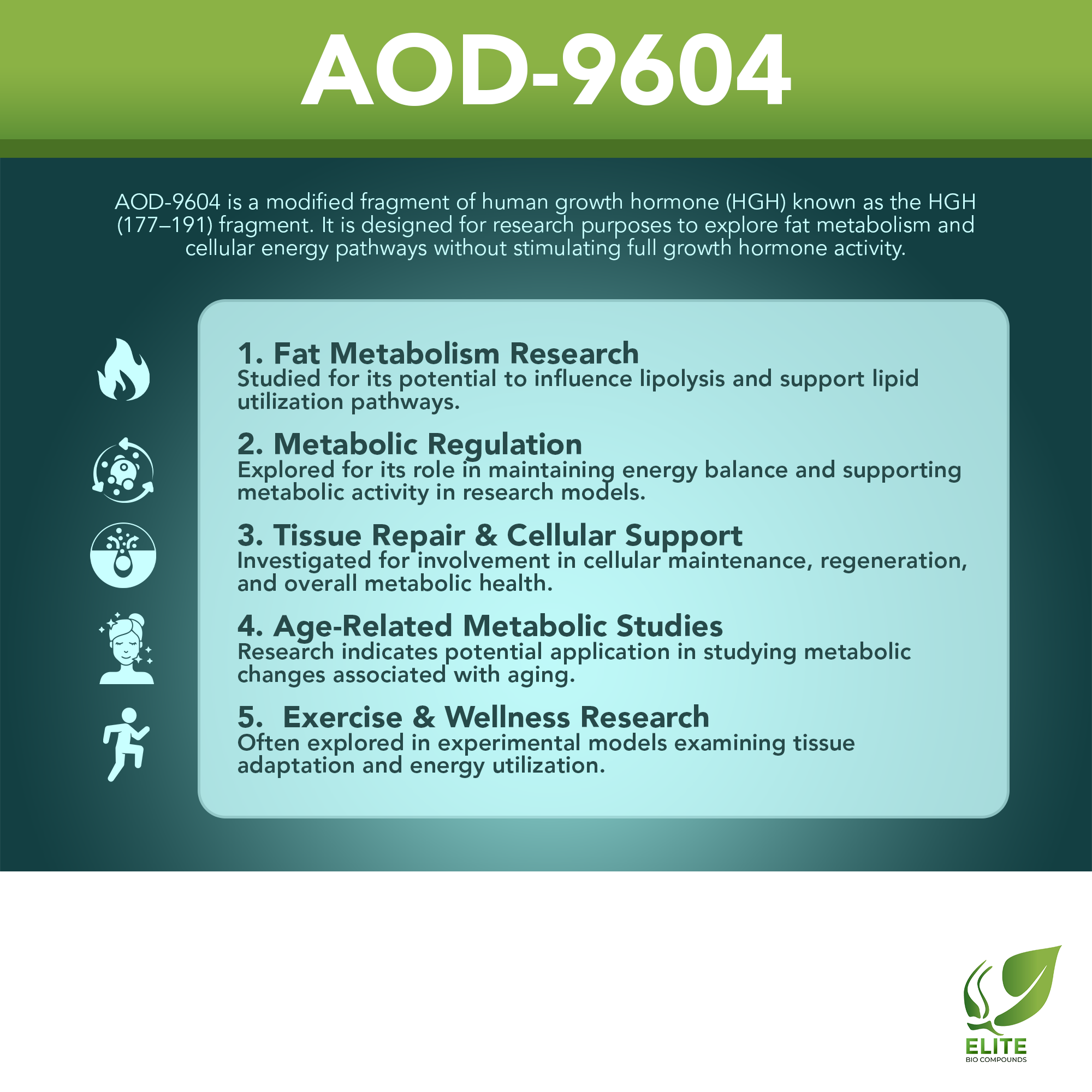 AOD-9604 (5 mg) | Body Composition, Fat Metabolism & Weight Support | COA Verified
