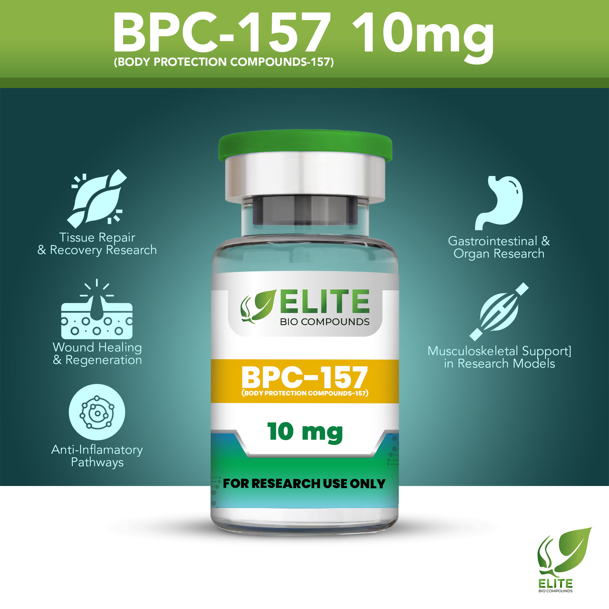 BPC-157 10MG (Body Protection Compound-157) | Peptide for Tissue Repair & Recovery | COA Verified
