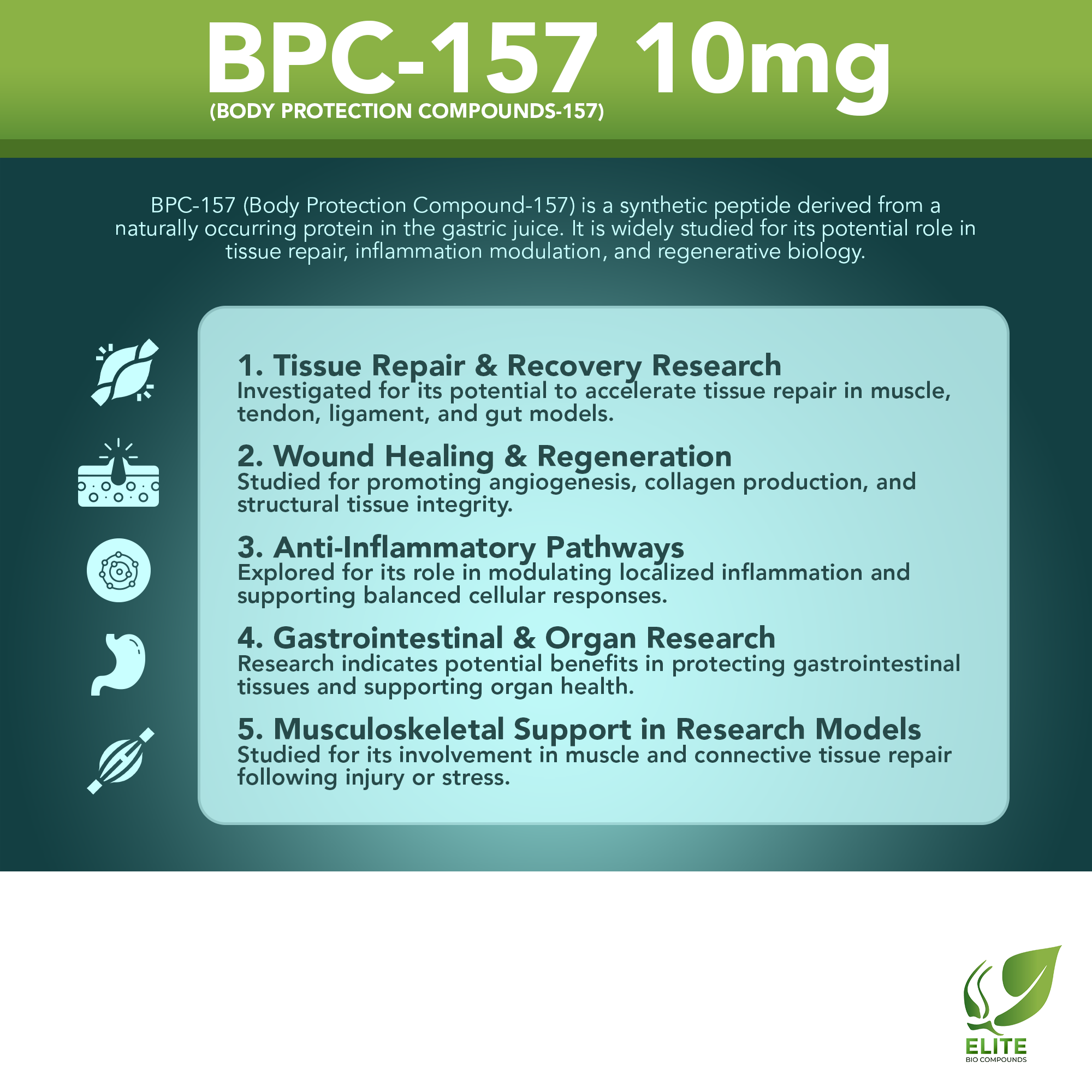 BPC-157 10MG (Body Protection Compound-157) | Peptide for Tissue Repair & Recovery | COA Verified