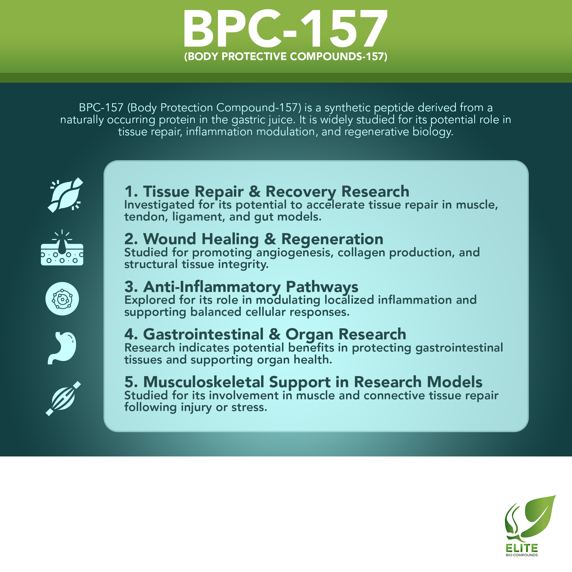 BPC-157 (Body Protection Compound-157) | Peptide for Tissue Repair & R ELITE BIO COMPOUNDS BPC-157 (Body Protection Compound-157) | Peptide for Tissue Repair & R ELITE BIO COMPOUNDS