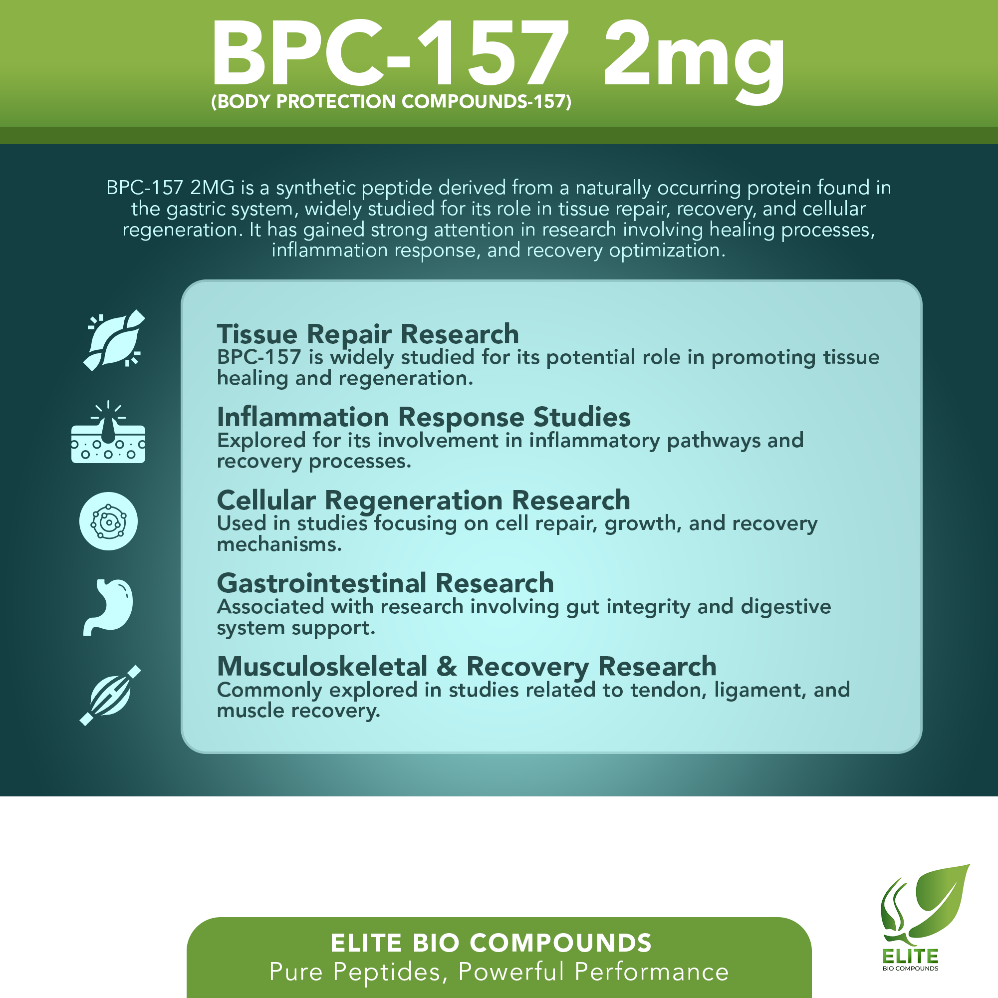 BPC-157 2MG - Tissue Recovery, Joint Support & Wellness Formula | COA Verified