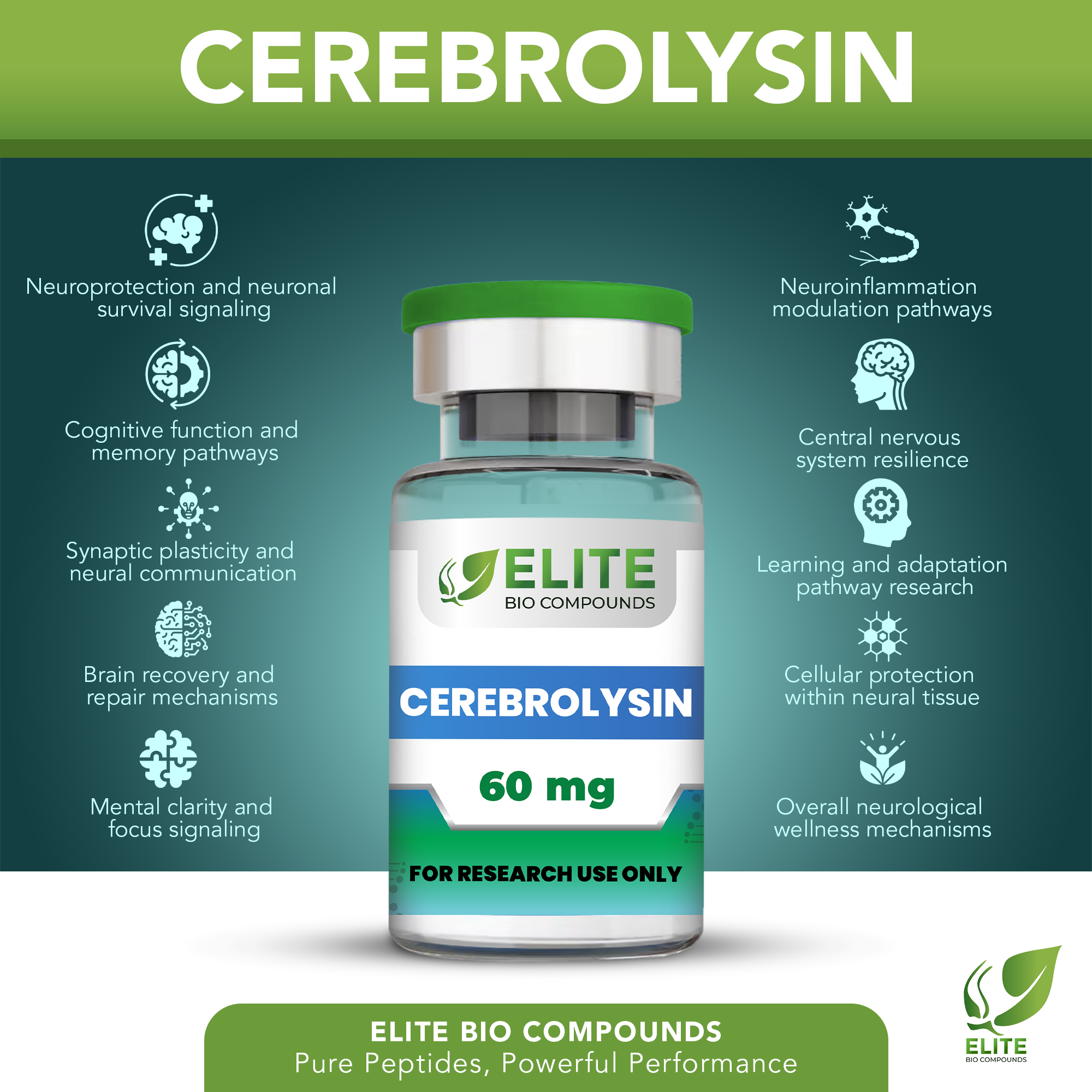 Cerebrolysin (60 mg) | Cognitive & Neuro Support | COA Verified