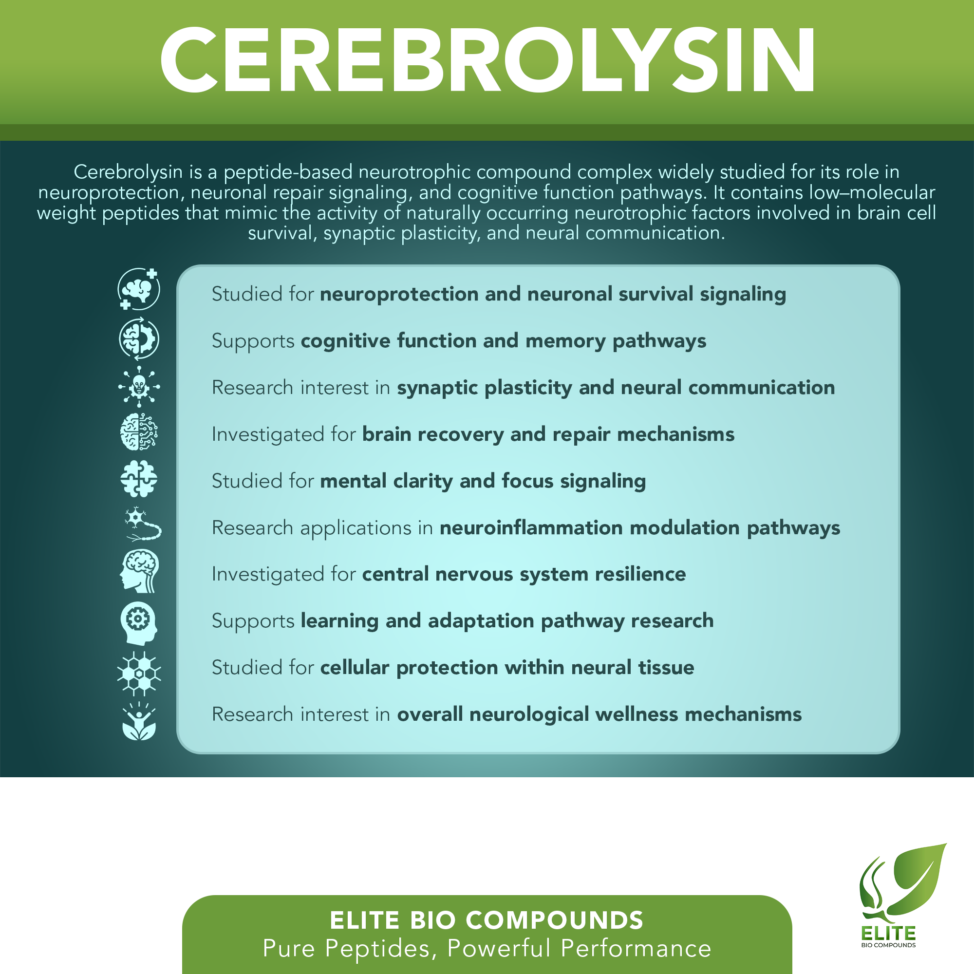 Cerebrolysin (60 mg) | Cognitive & Neuro Support | COA Verified
