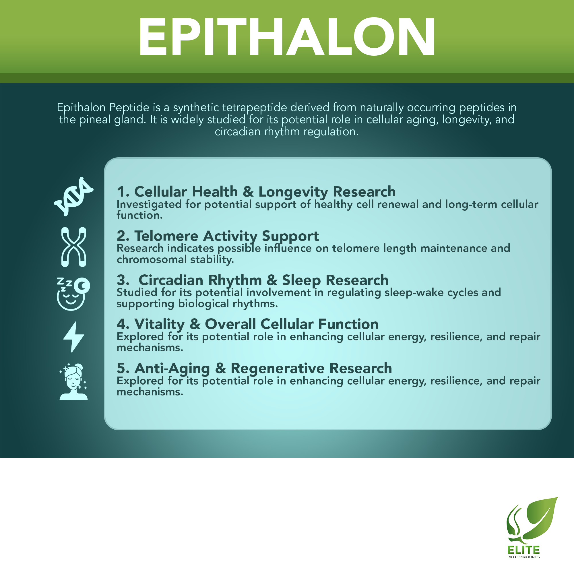 Epithalon (10 mg) | Telomere Support, Cellular Health & Healthy Aging | COA Verified