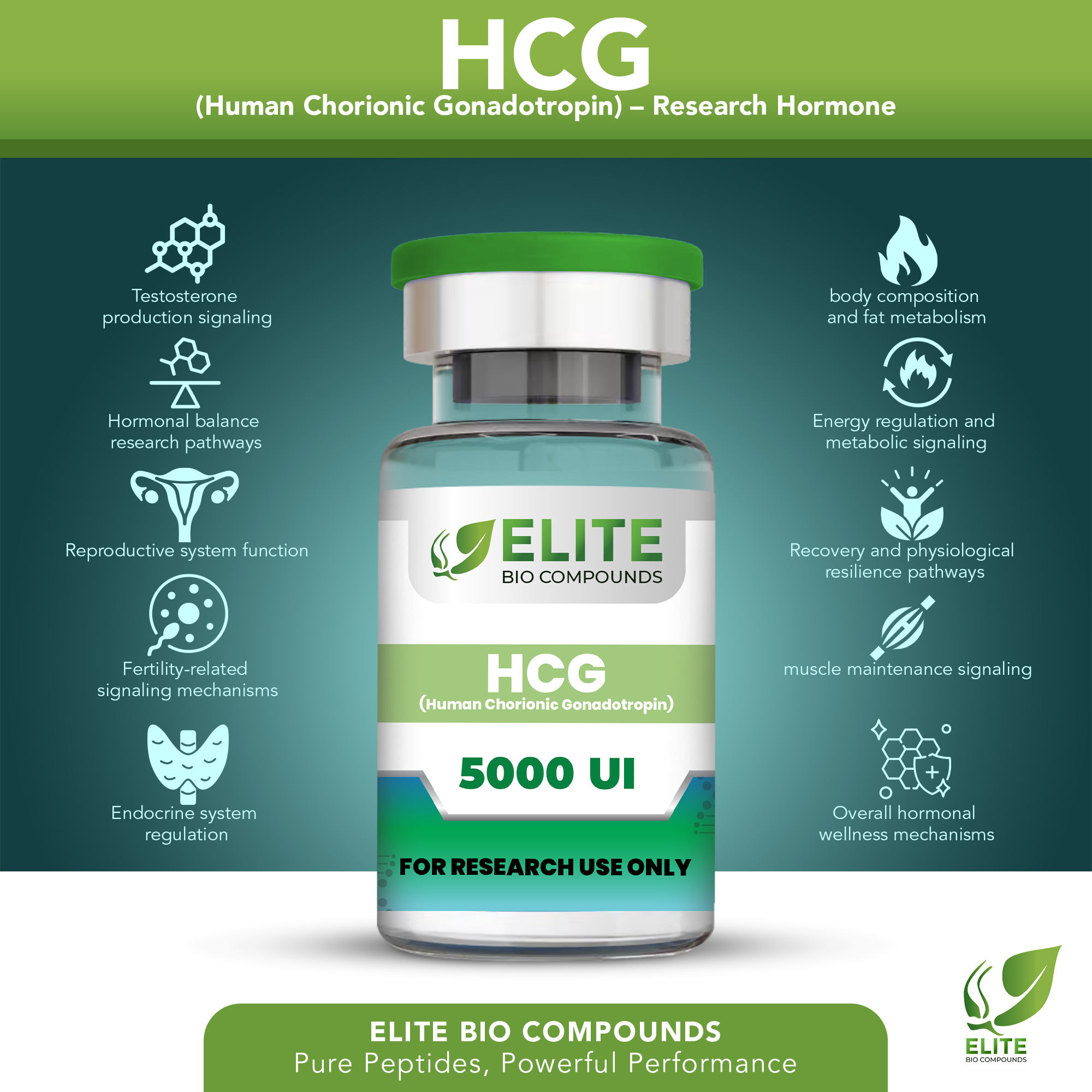 HCG (5000 IU) | Hormone Support Peptide | COA Verified
