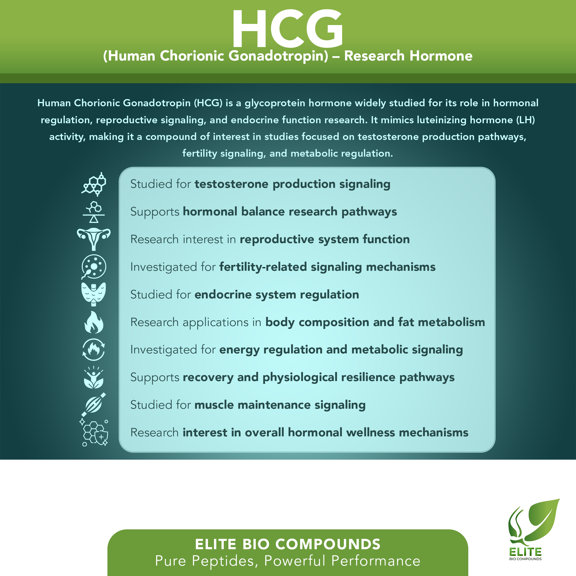 HCG (5000 IU) | Hormone Support Peptide | COA Verified