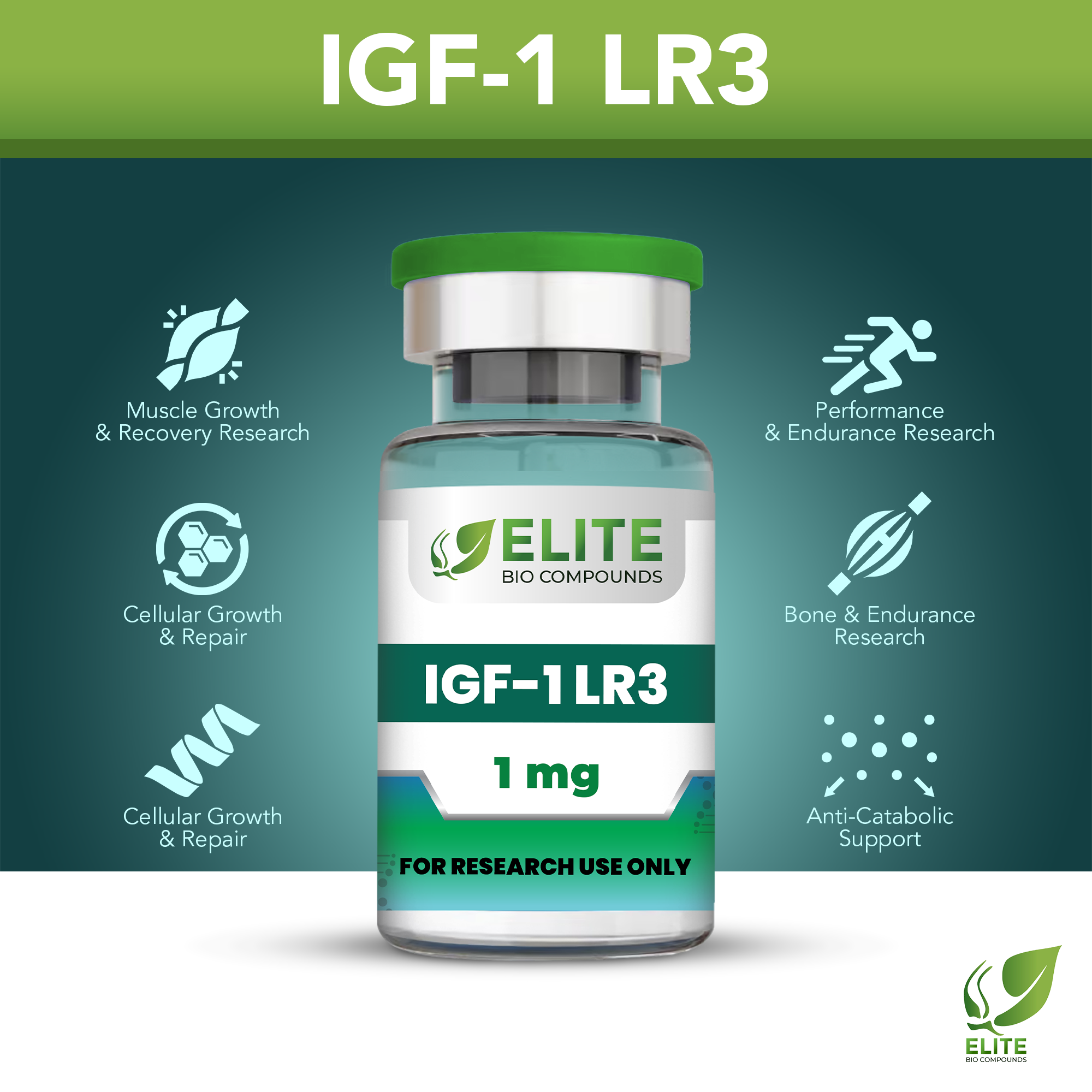 IGF-1 LR3 (1 mg) | Muscle Development, Recovery & Cellular Regeneration | COA Verified