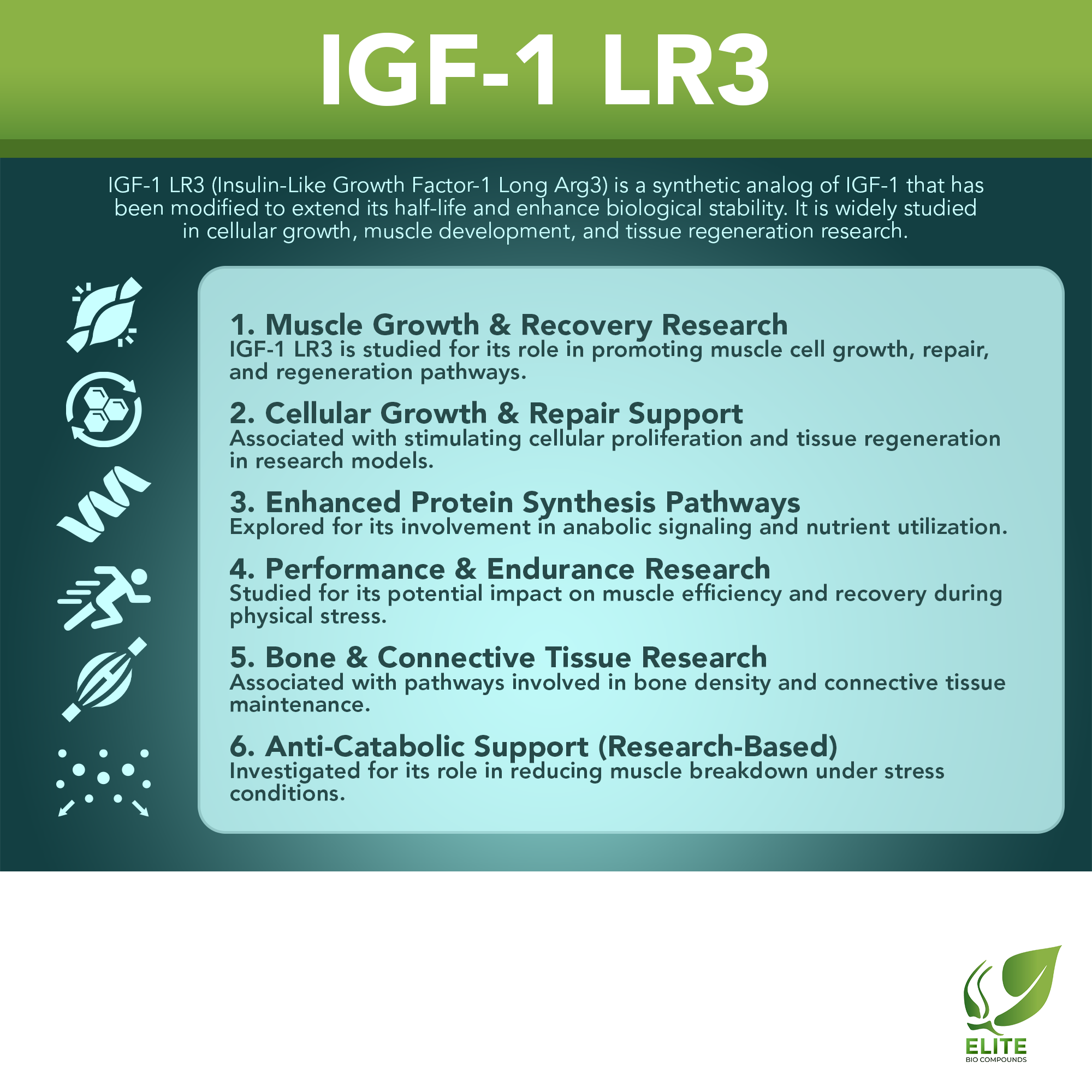 IGF-1 LR3 (1 mg) | Muscle Development, Recovery & Cellular Regeneration | COA Verified