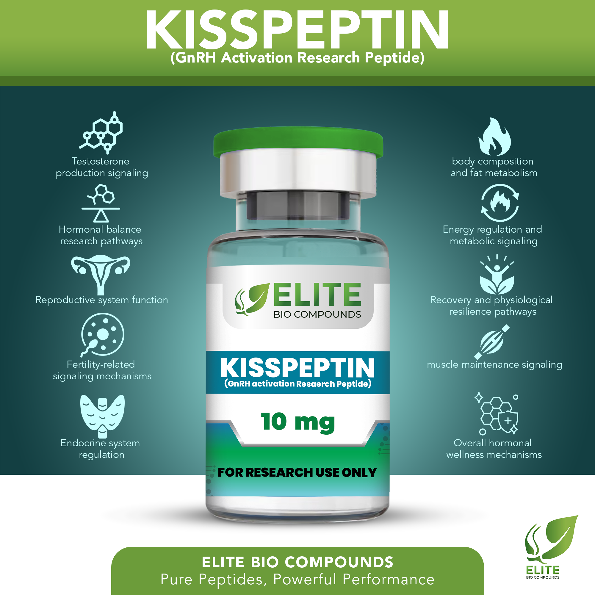 Kisspeptin-10 (10 mg) | Hormonal Regulation Support | COA Verified