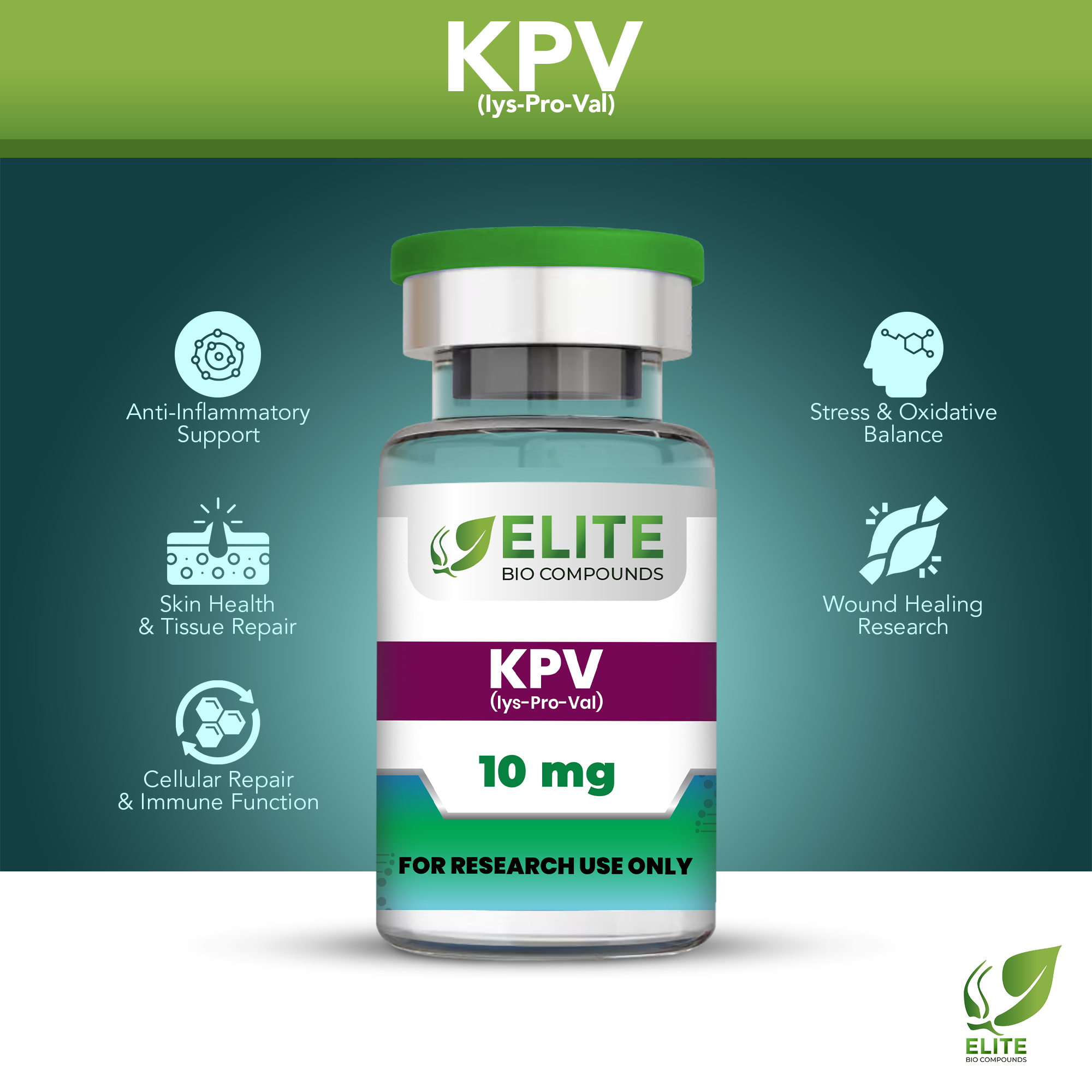KPV (10 mg) | Anti-Inflammatory Support, Skin Repair & Gut Health | COA Verified