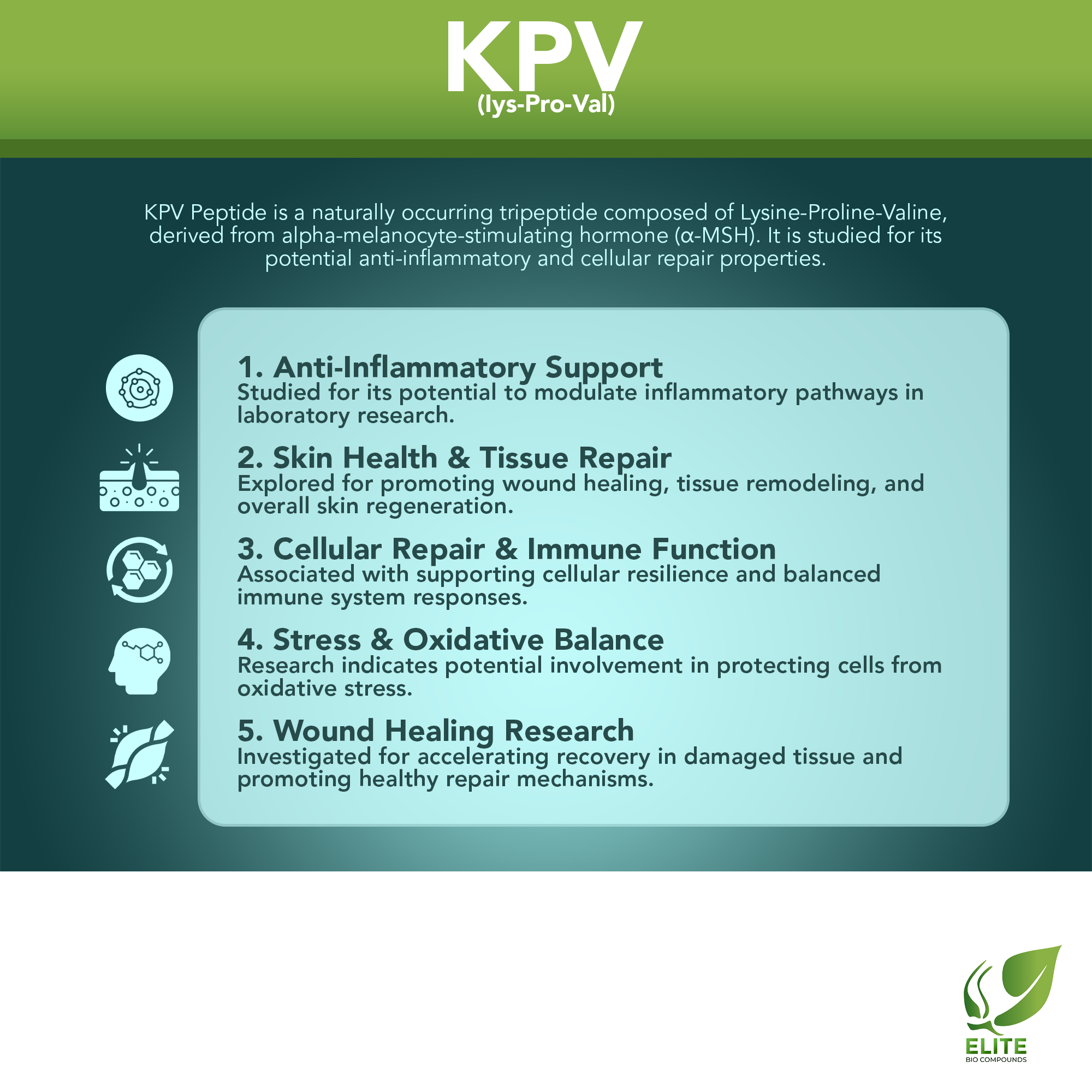 KPV (10 mg) | Anti-Inflammatory Support, Skin Repair & Gut Health | COA Verified