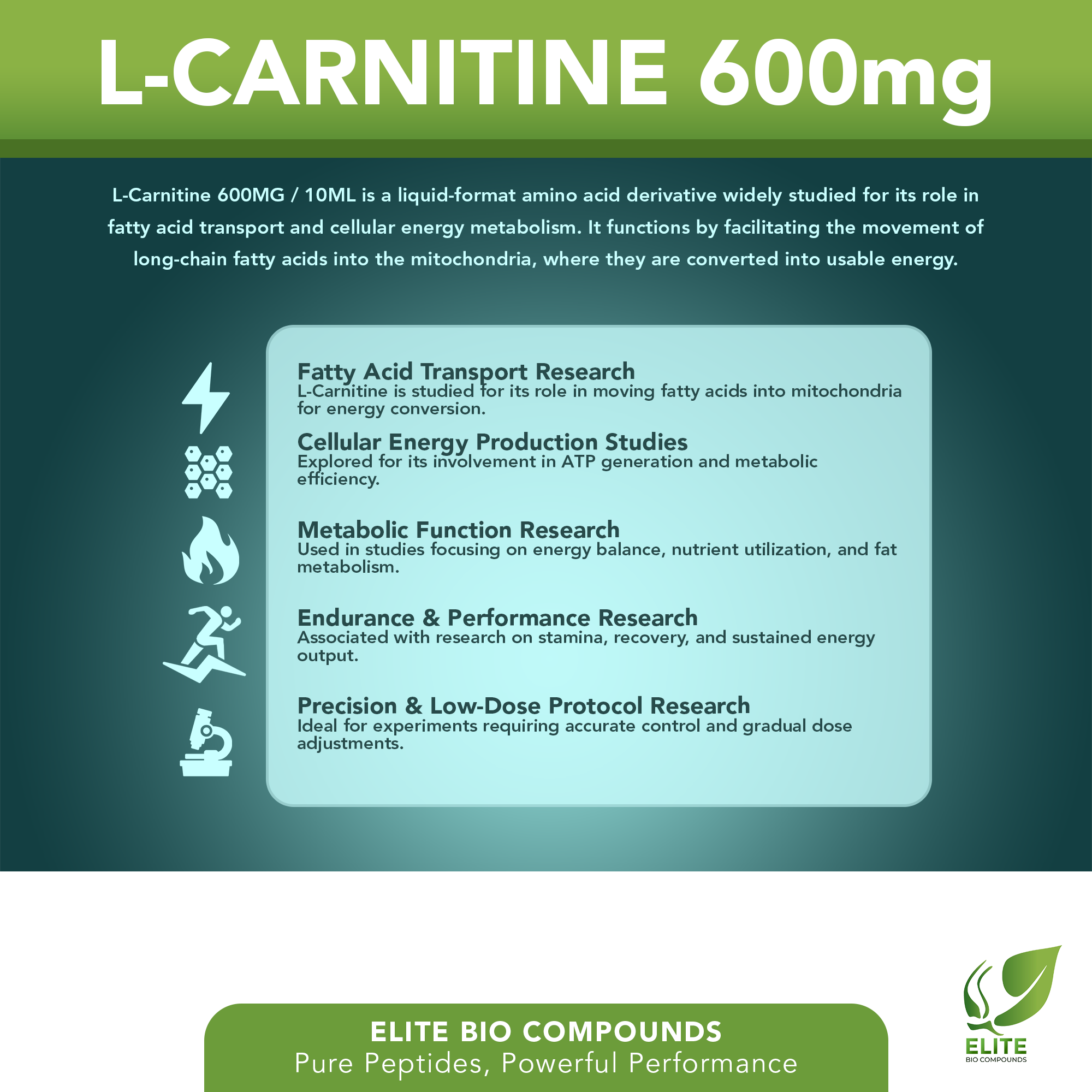 L-Carnitine 600mg – Fat Metabolism, Energy Production & Wellness Support