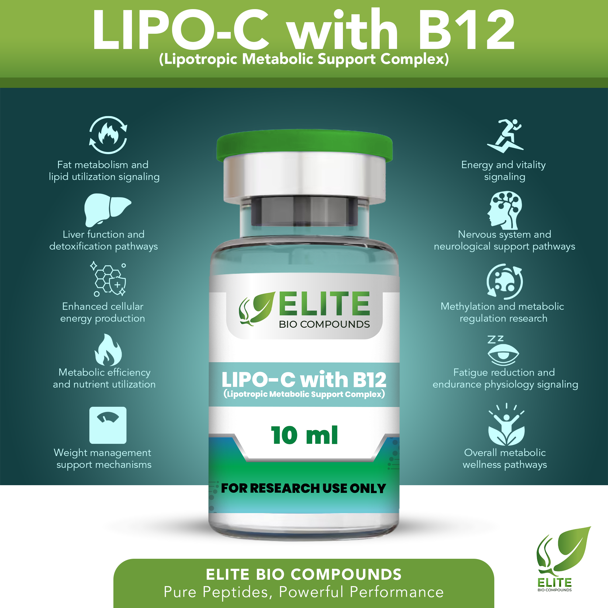 LIPO-C with B12 (10 mL) | Lipotropic Energy & Metabolic Support | COA Verified
