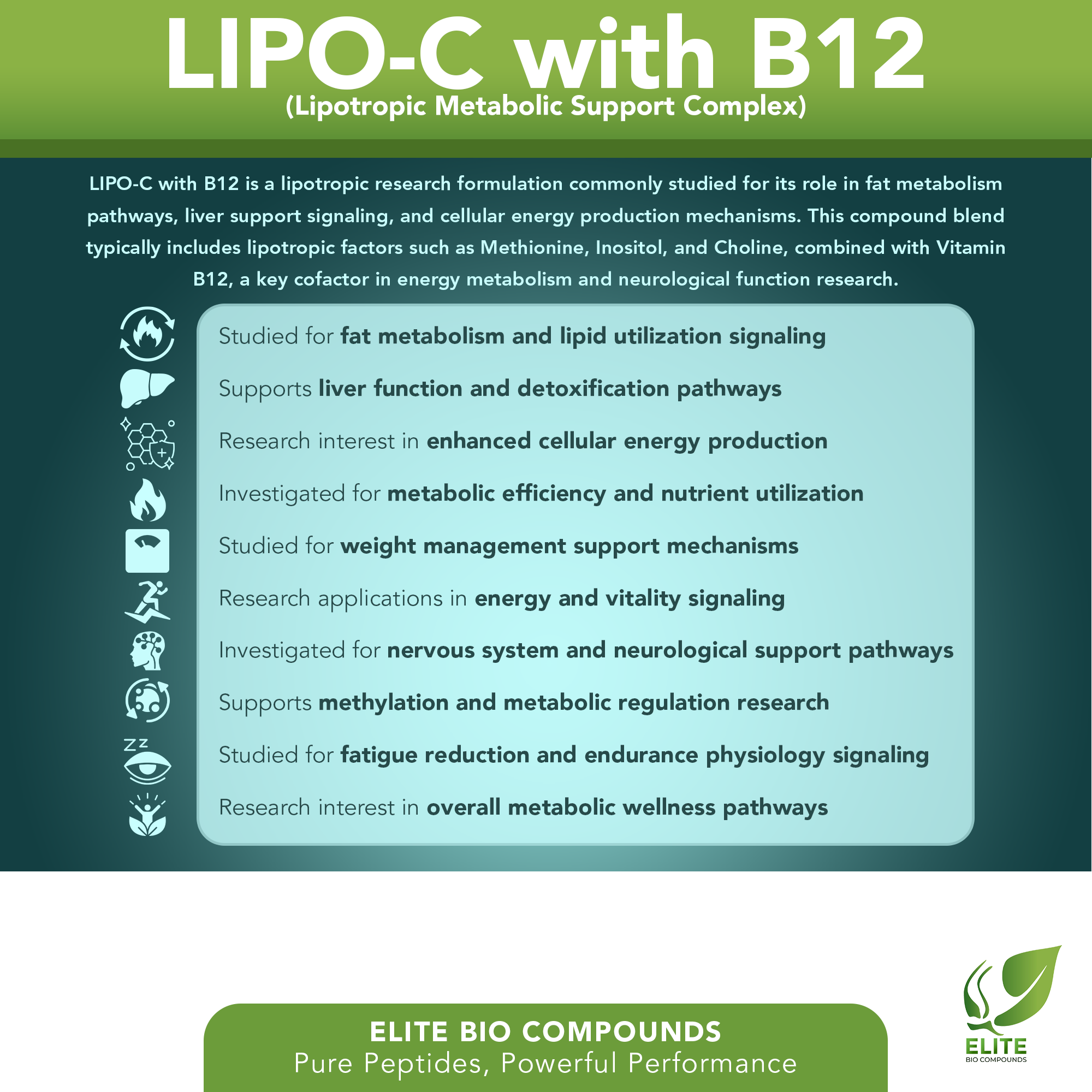 LIPO-C with B12 (10 mL) | Lipotropic Energy & Metabolic Support | COA Verified