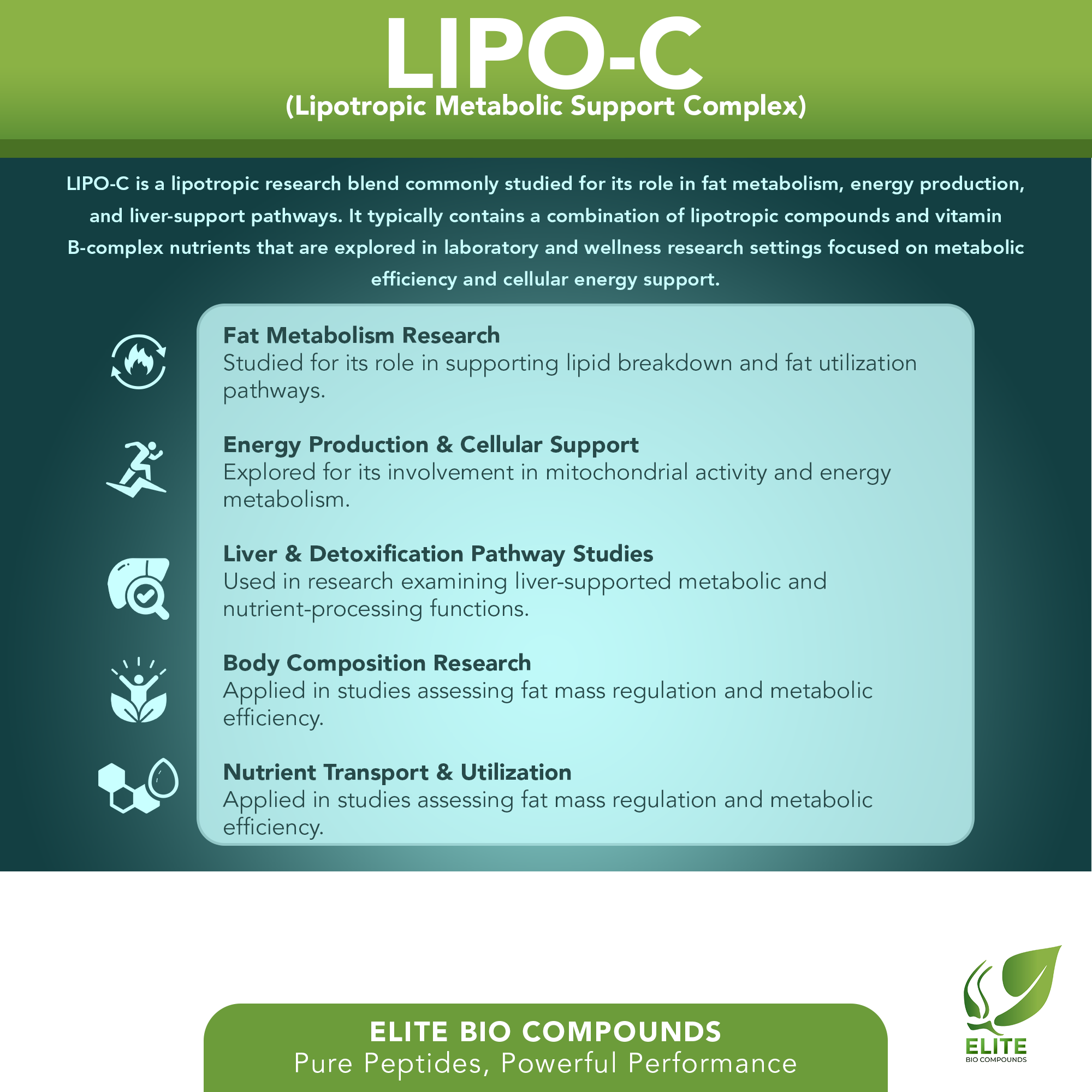 LIPO-C (10 mL) | Lipotropic Metabolic Support Formula | COA Verified