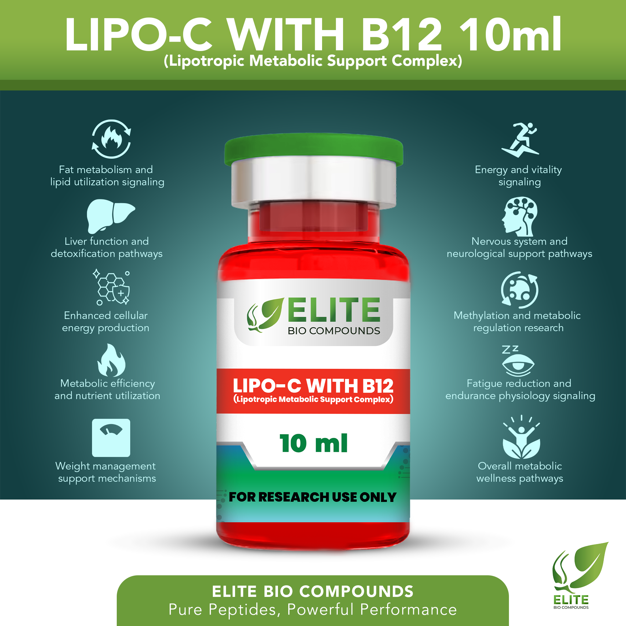 LIPO-C with B12 (10 mL) | Lipotropic Energy & Metabolic Support | COA Verified