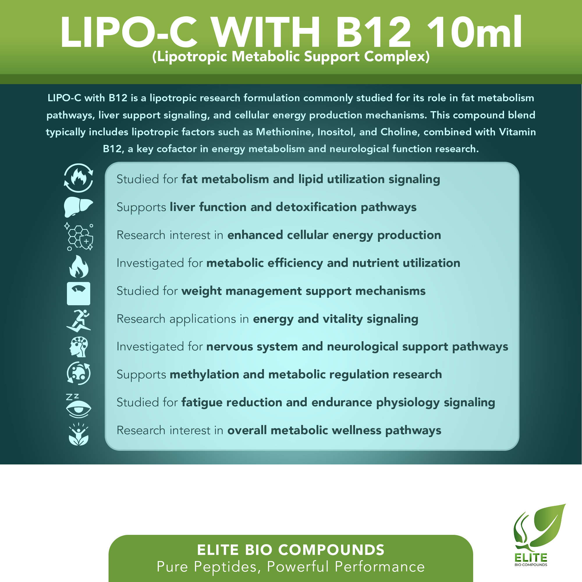 LIPO-C with B12 (10 mL) | Lipotropic Energy & Metabolic Support | COA Verified