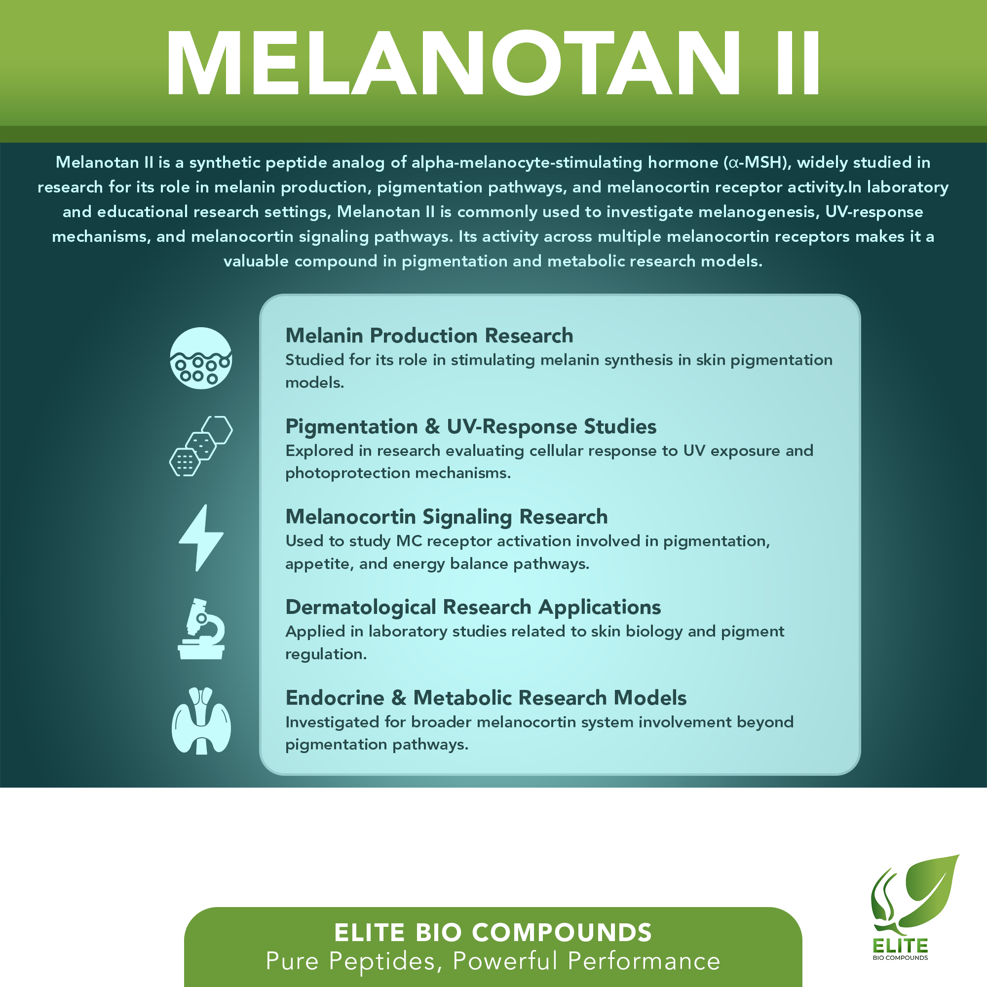 Melanotan II (10 mg) | Melanocortin Peptide | Skin Pigmentation Support | COA Verified