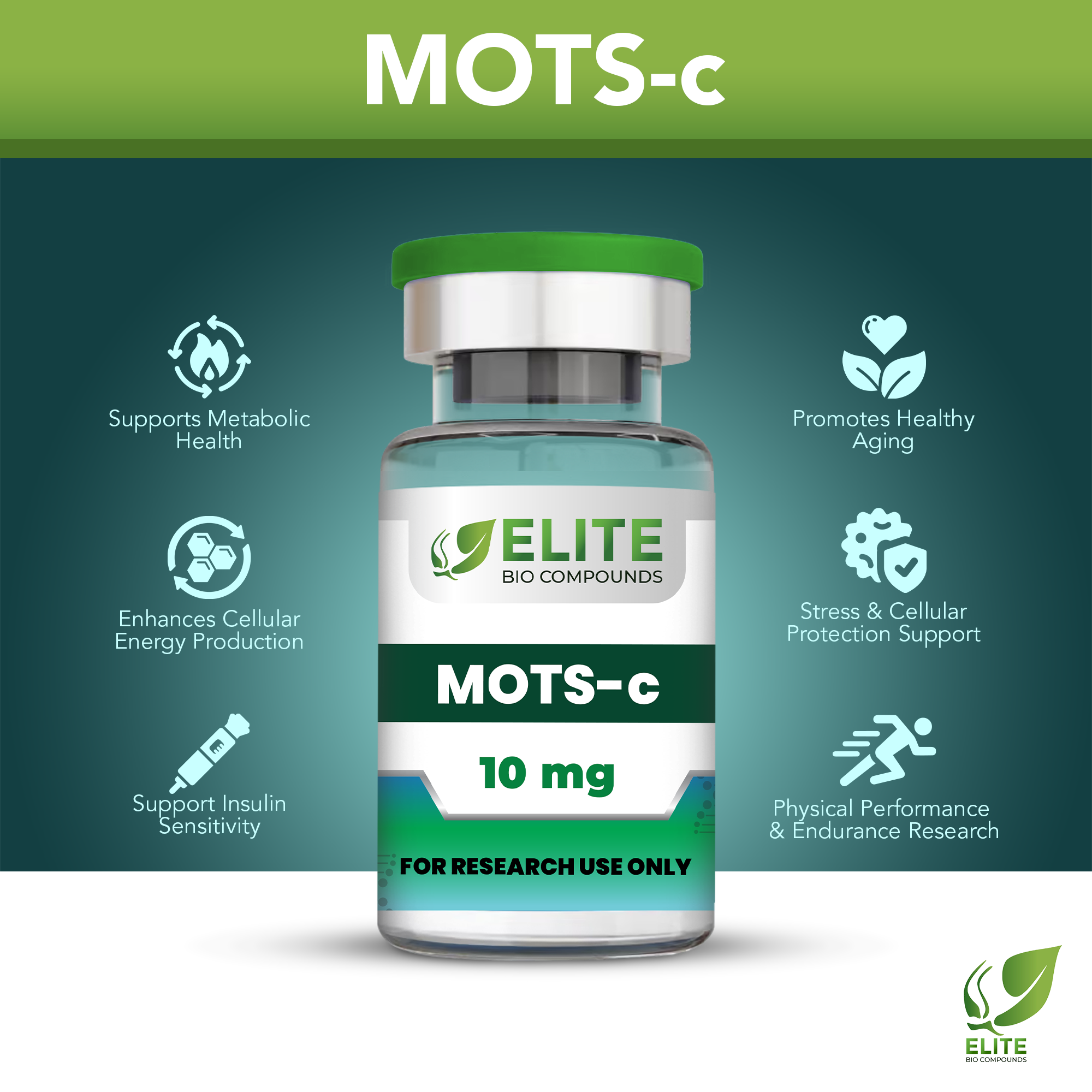 MOTS-c (10 mg) | Metabolism, Energy & Longevity | COA Verified