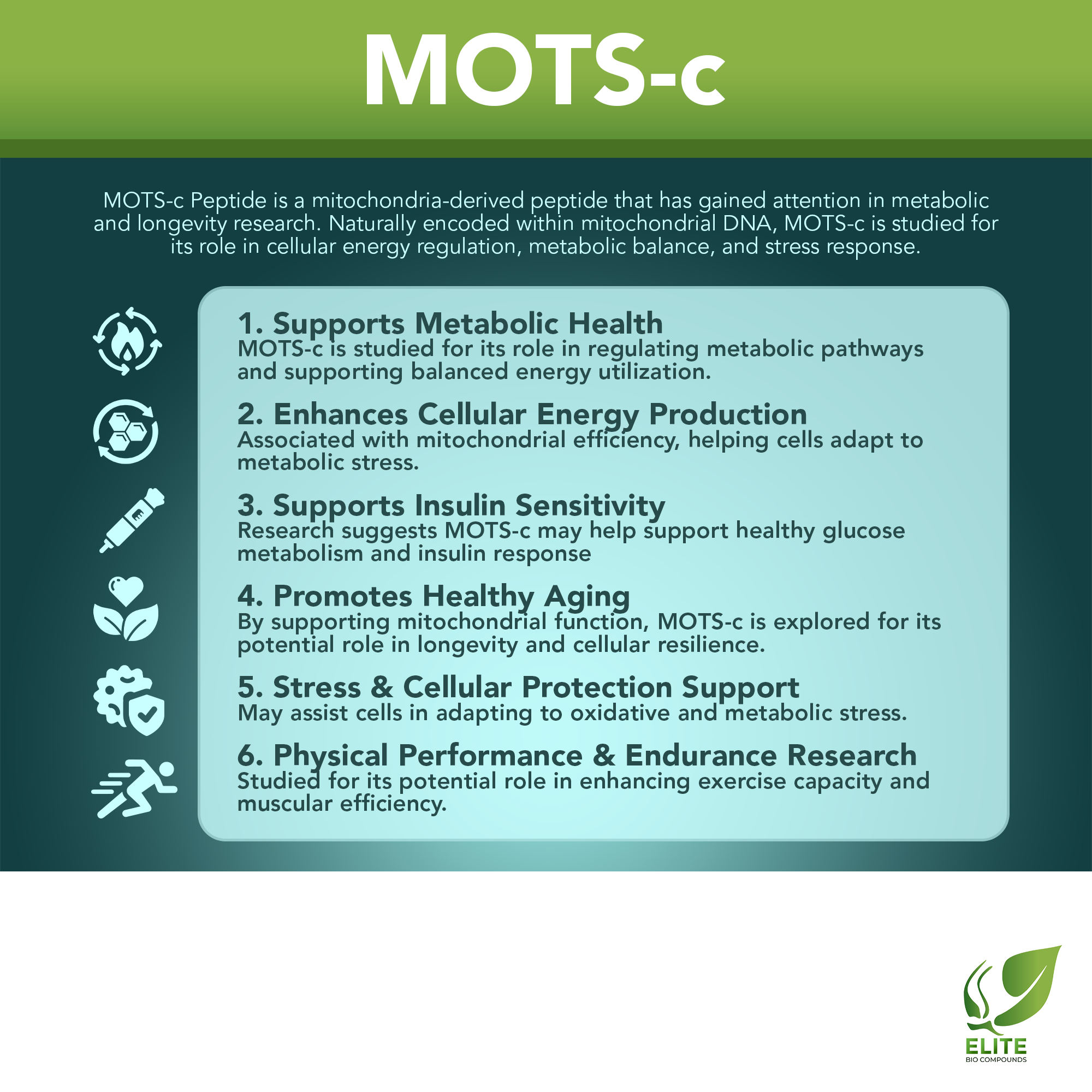 MOTS-c (10 mg) | Metabolism, Energy & Longevity | COA Verified