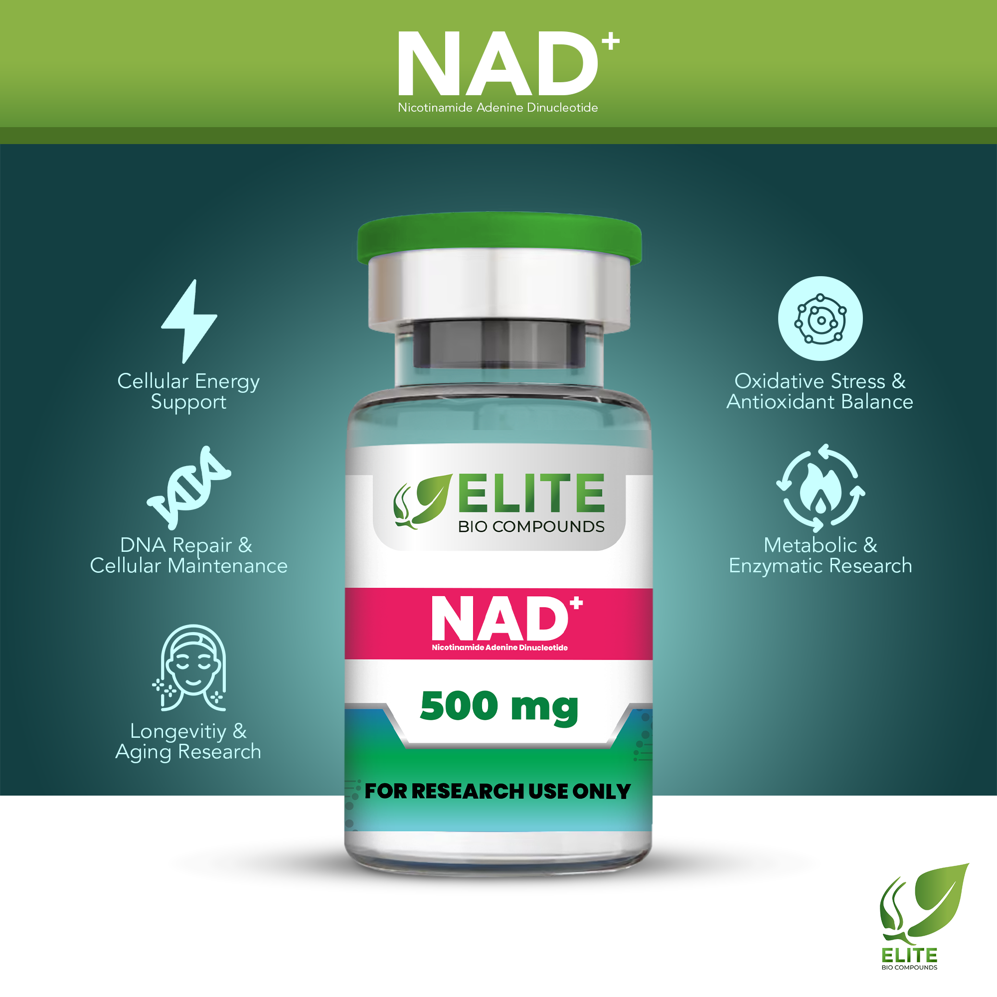 NAD+ (500 mg) | Boost Cellular Energy, Anti-Aging & DNA Repair Support | COA Verified