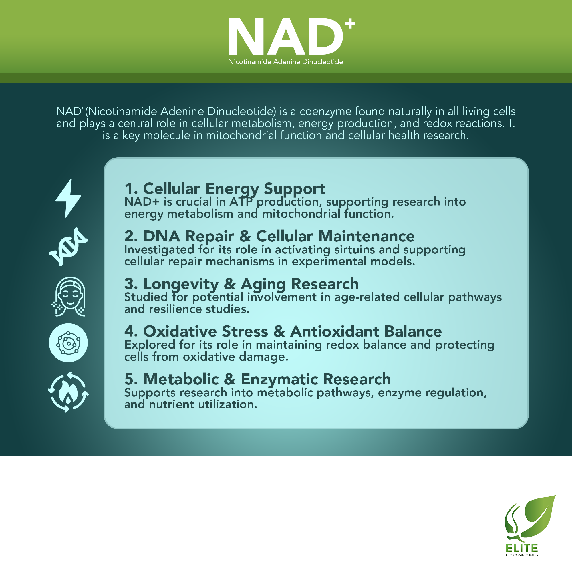 NAD+ (500 mg) | Boost Cellular Energy, Anti-Aging & DNA Repair Support | COA Verified