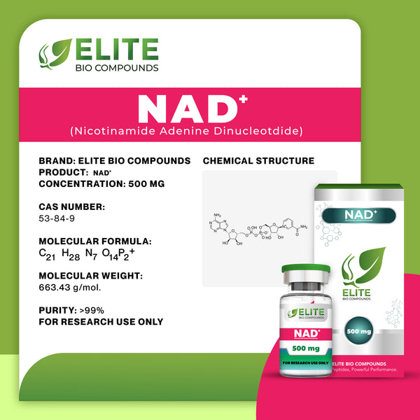 NAD+ (500 mg) | Boost Cellular Energy, Anti-Aging & DNA Repair Support | COA Verified