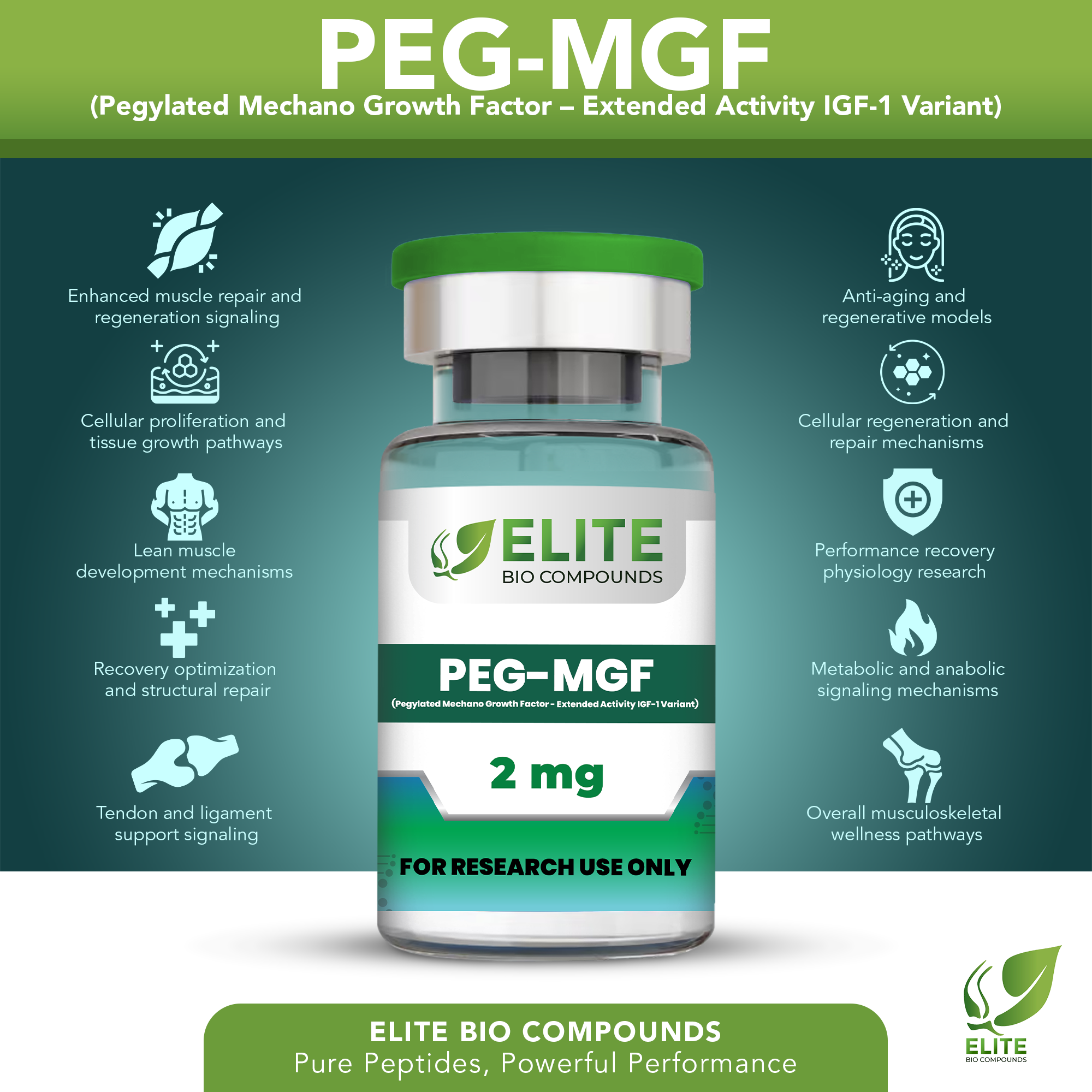 PEG-MGF (2 mg) | Extended Activity Muscle Support Peptide | COA Verified