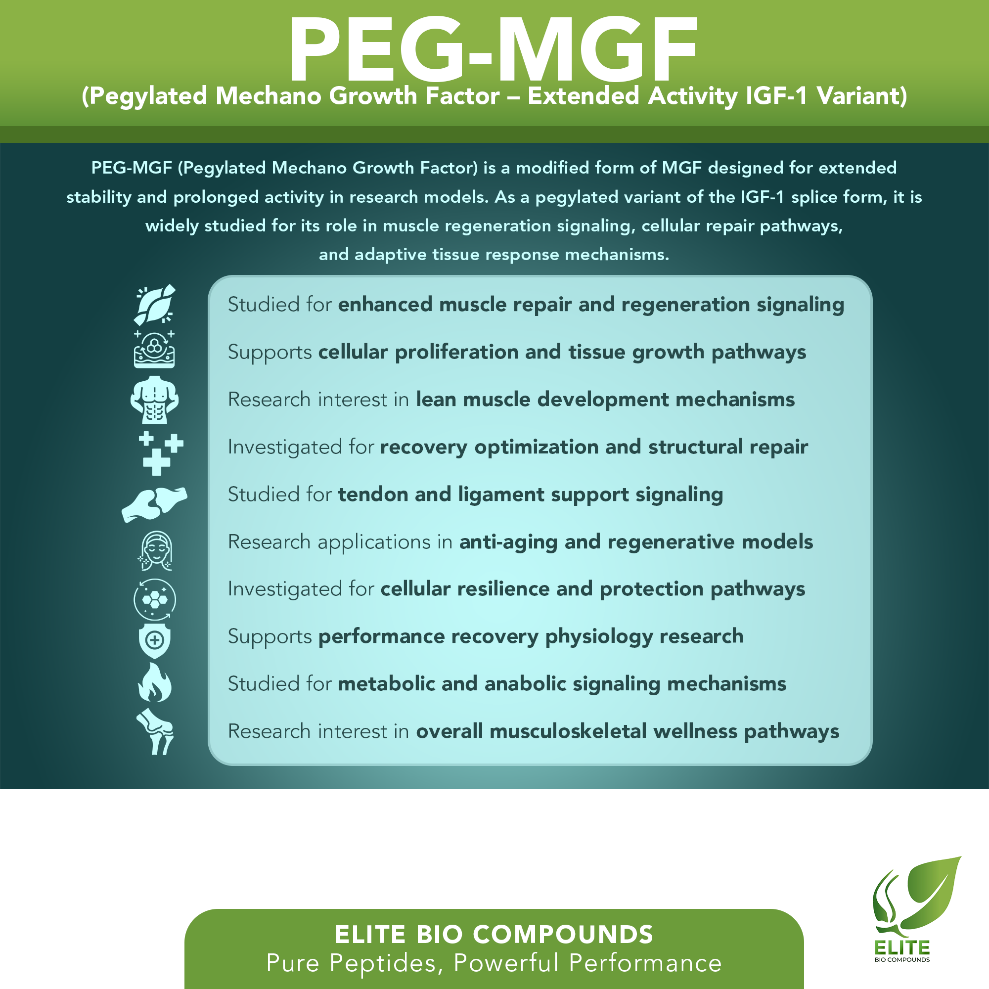 PEG-MGF (2 mg) | Extended Activity Muscle Support Peptide | COA Verified