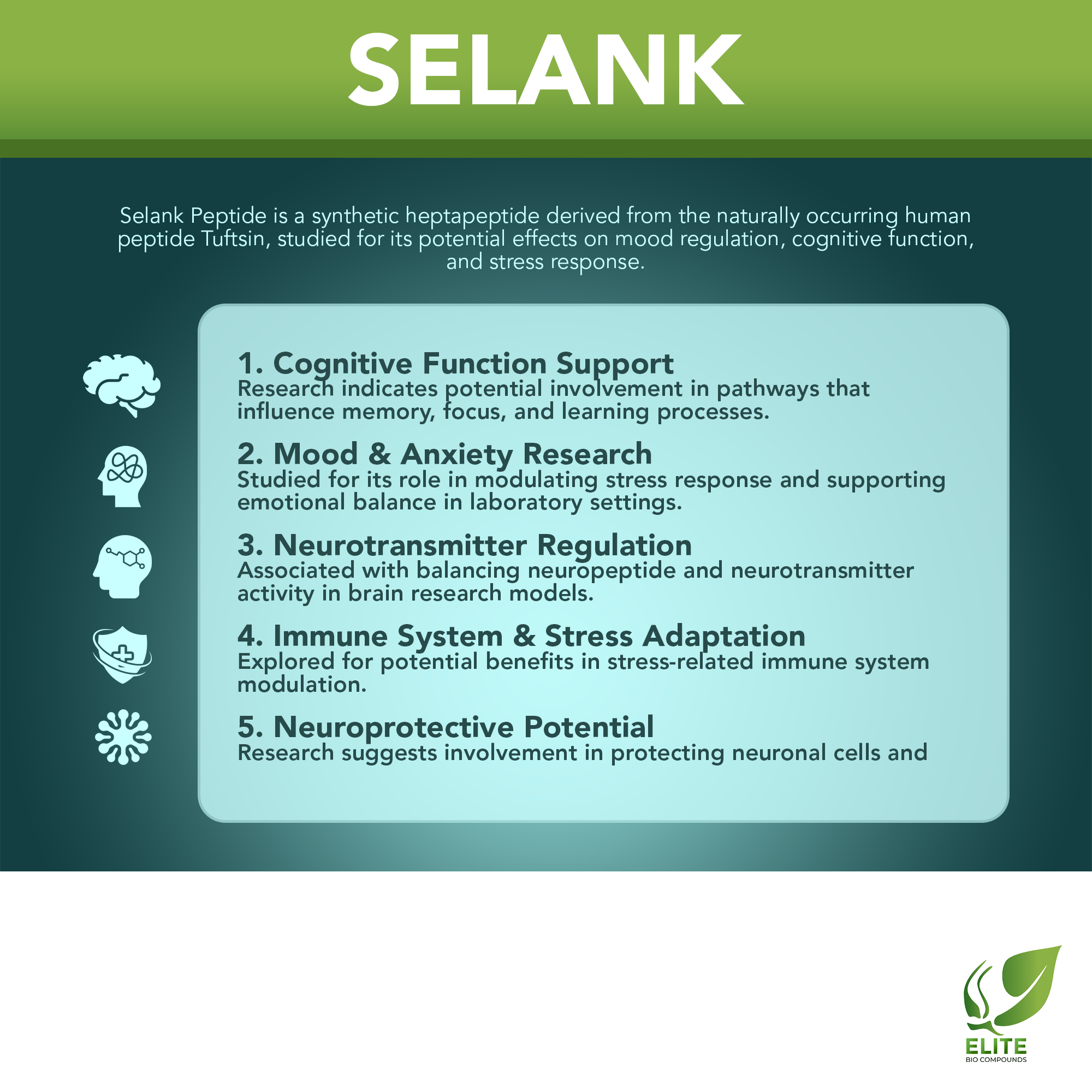 Selank (10 mg) | Cognitive Enhancement, Stress Relief & Neural Support | COA Verified