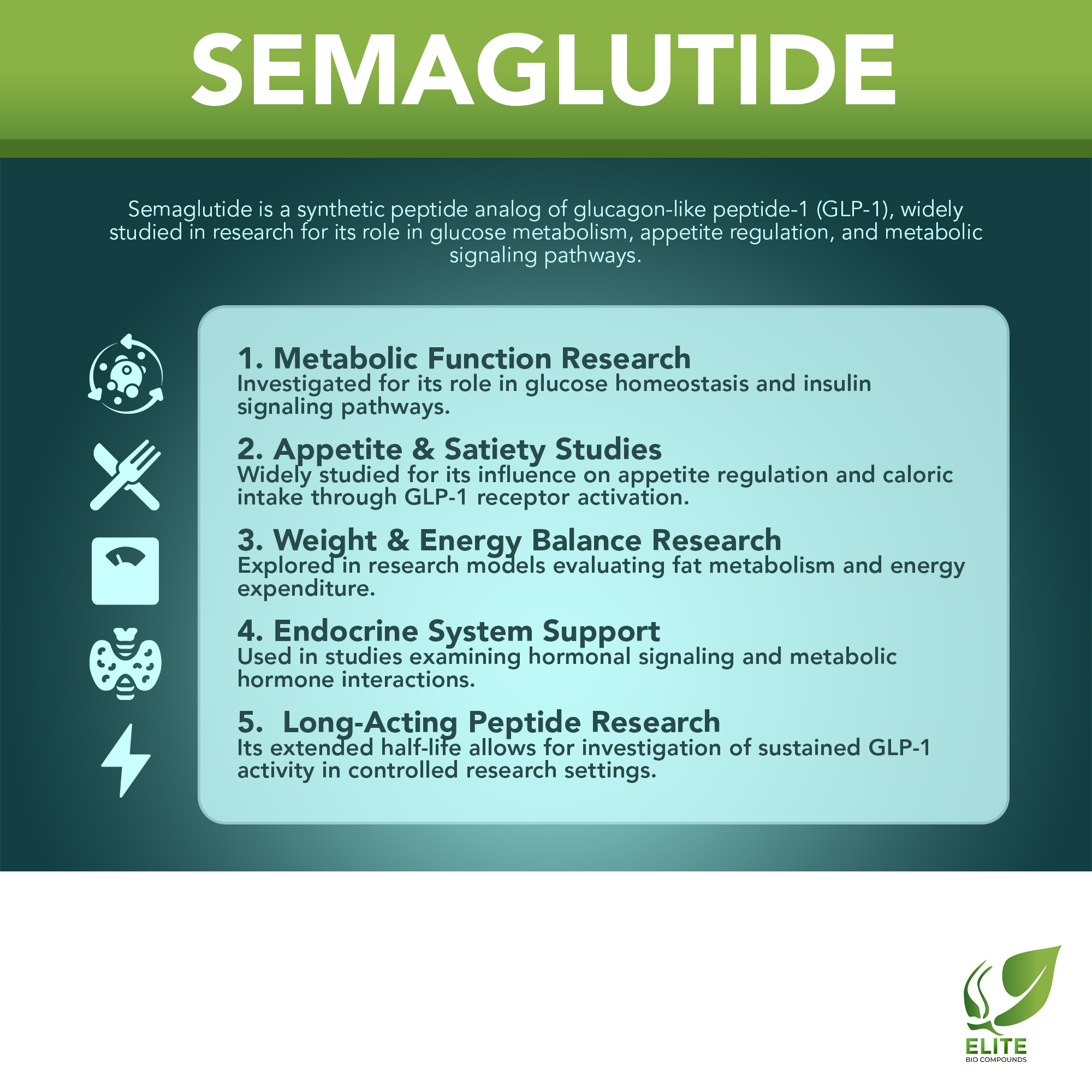 Semaglutide | Appetite Control, Blood Sugar & Weight Support | COA Verified