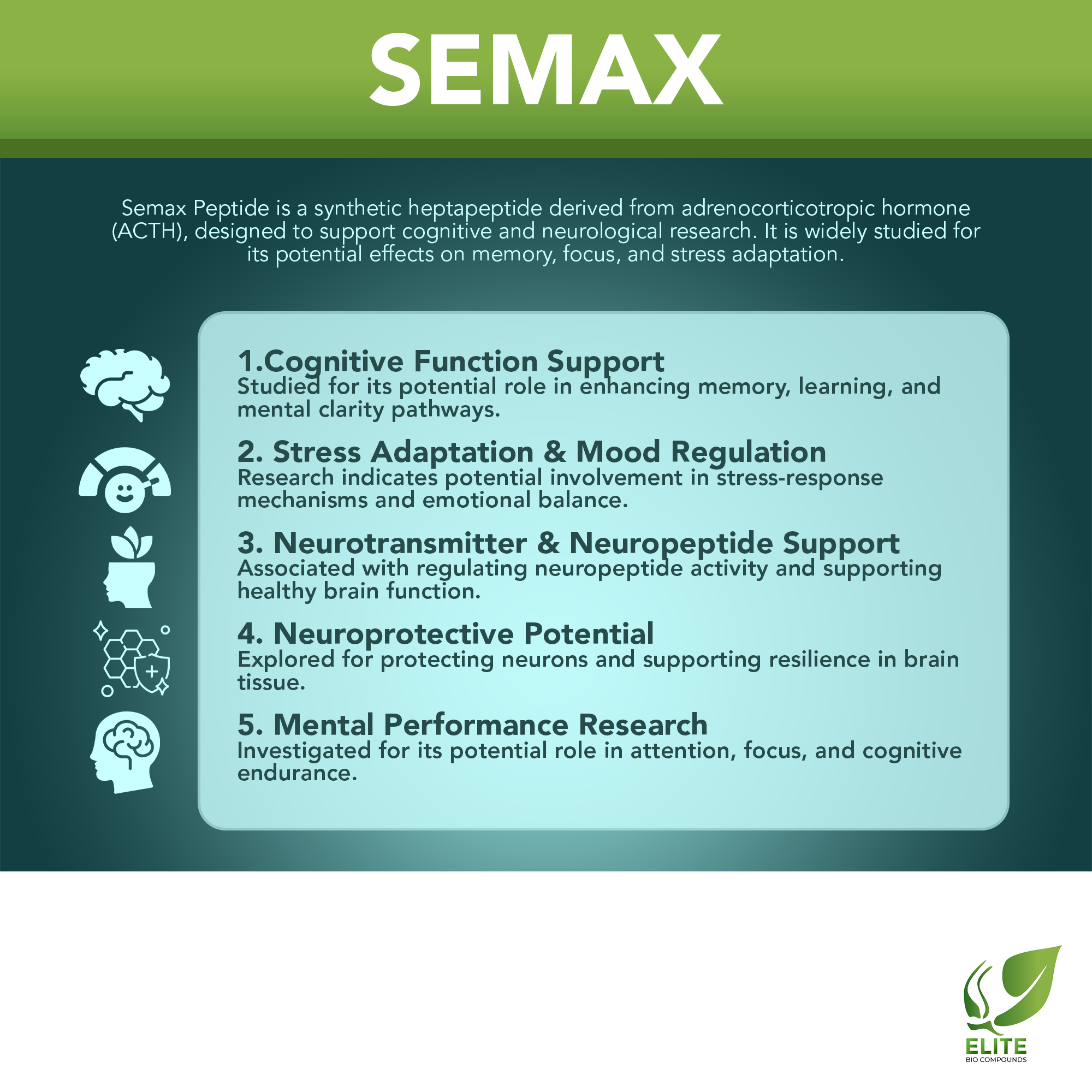 Semax (10 mg) | Cognitive Performance, Focus & Neural Support | COA Verified