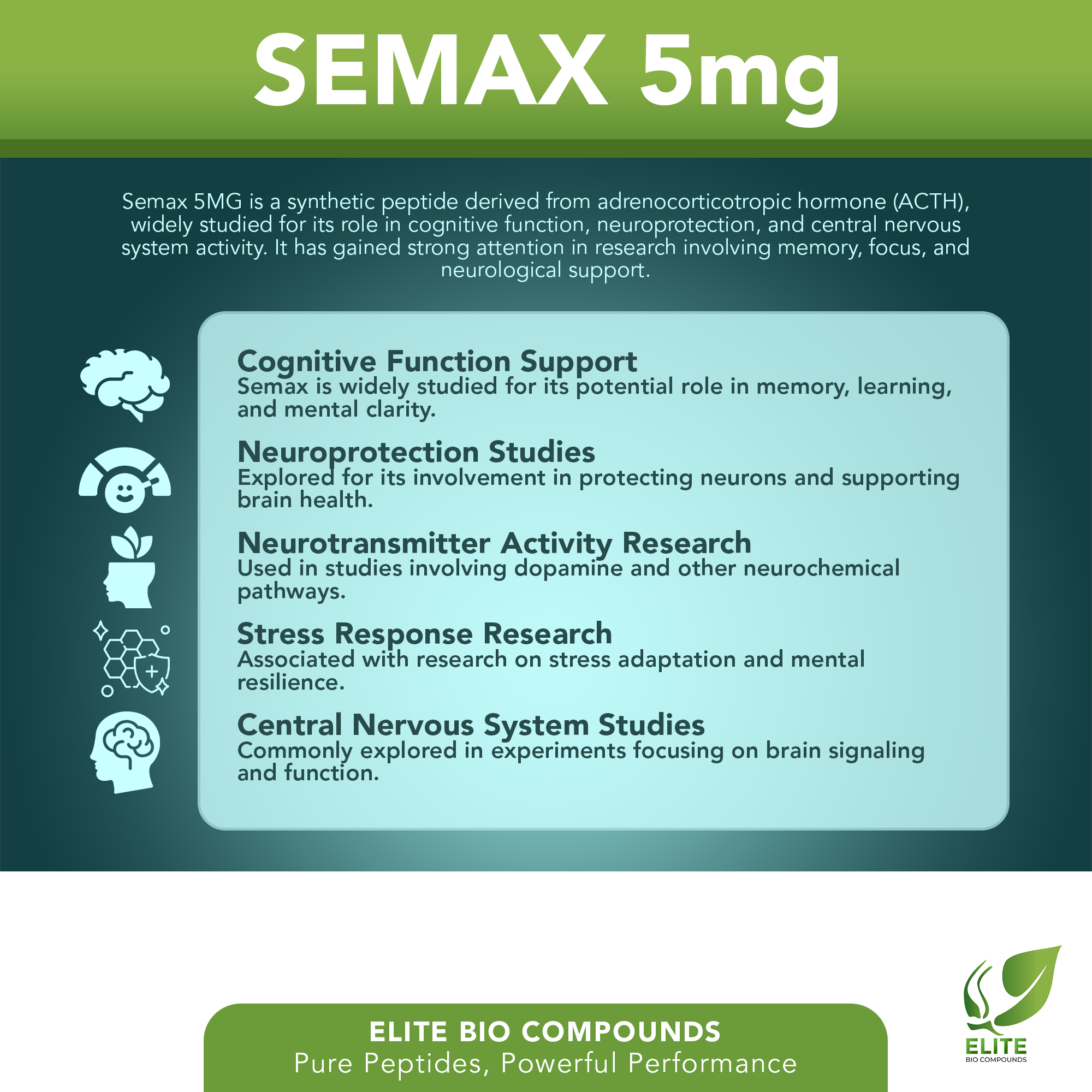 Semax 5mg – Neural Wellness & Mental Performance Formula | COA Verified