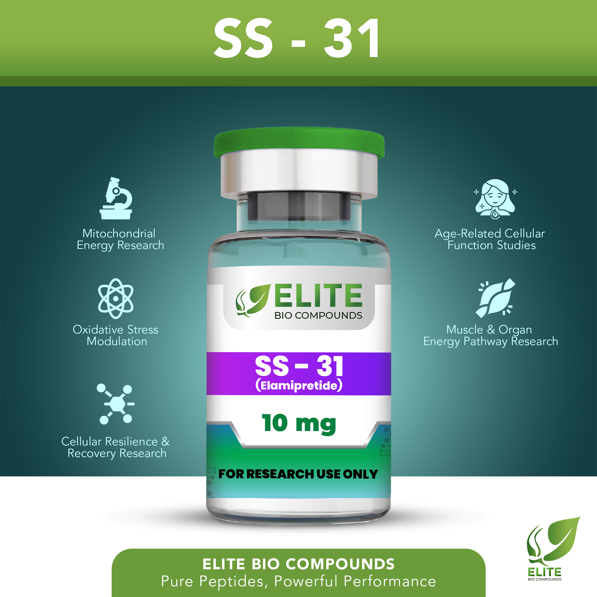 SS-31 (10 mg) | Mitochondrial & Cellular Energy Support | COA Verified