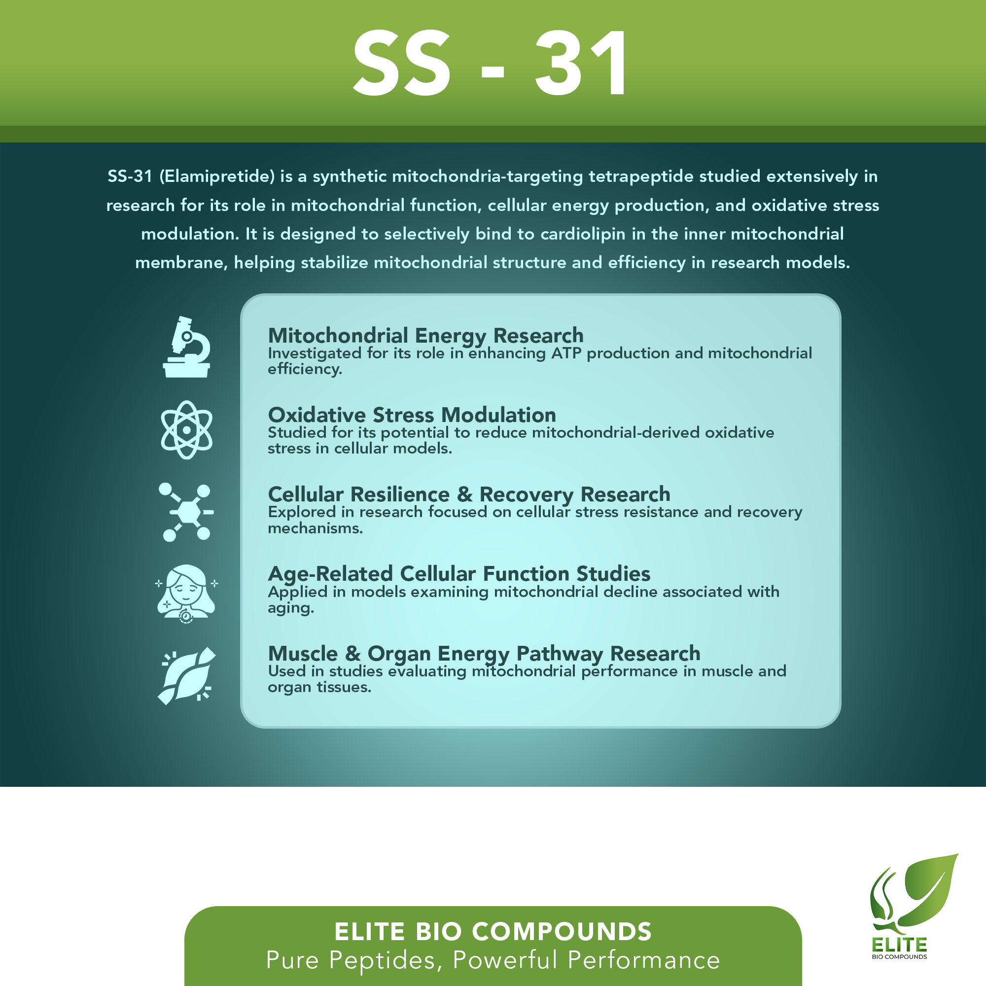 SS-31 (10 mg) | Mitochondrial & Cellular Energy Support | COA Verified