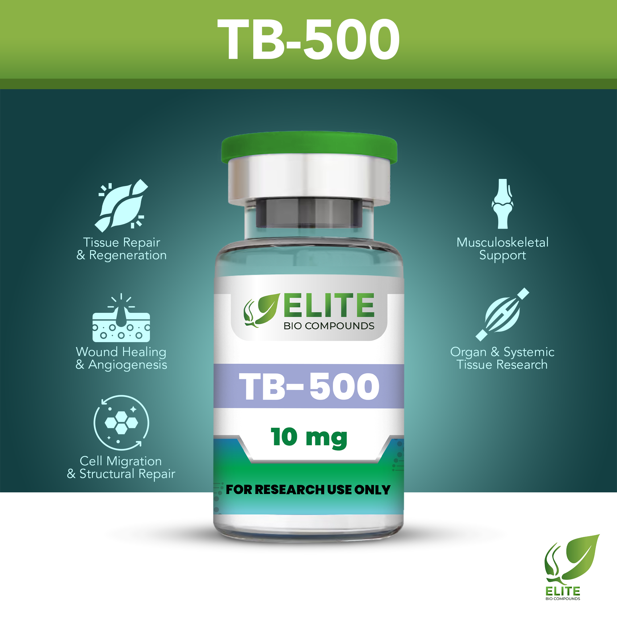 TB-500 (10 mg) | Healing, Recovery & Performance Support| COA Verified