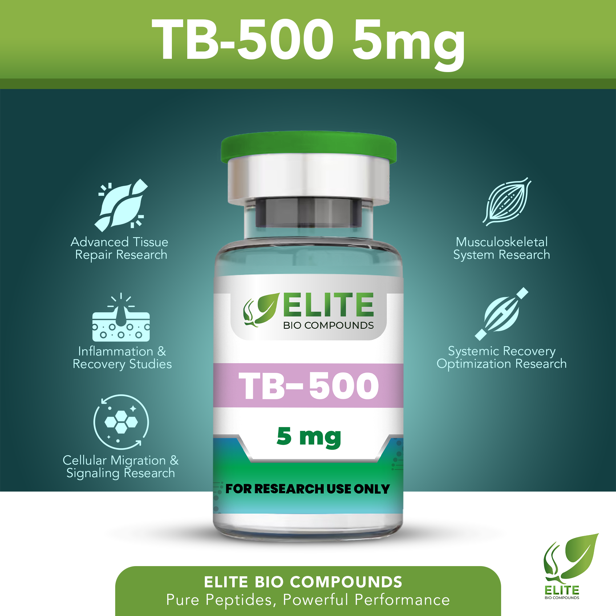 TB-500 (Thymosin Beta-4) 5mg – Recovery, Flexibility & Active Lifestyle Support | COA Verified