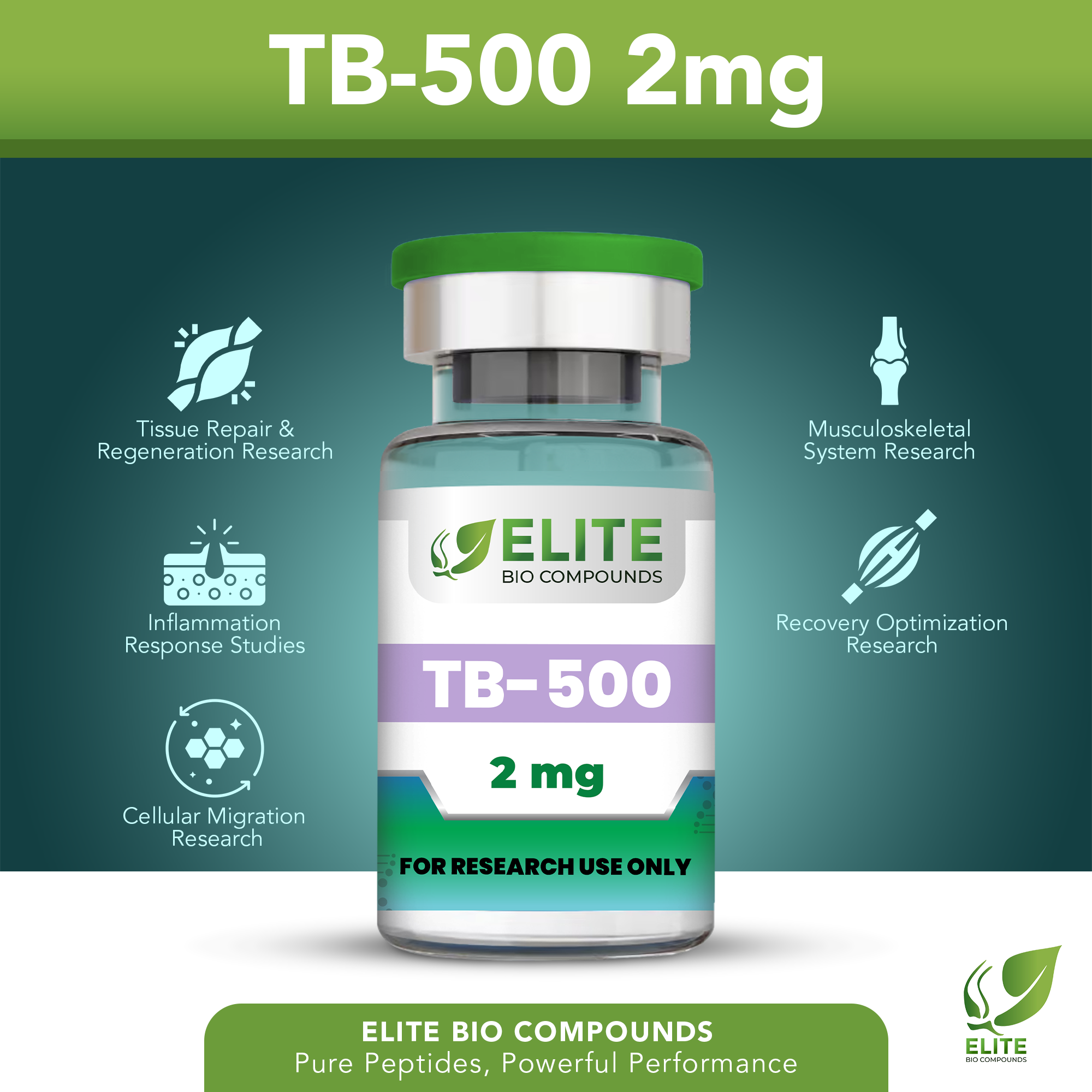 TB-500 (Thymosin Beta-4) 2mg – Joint, Mobility & Recovery Support | COA Verified