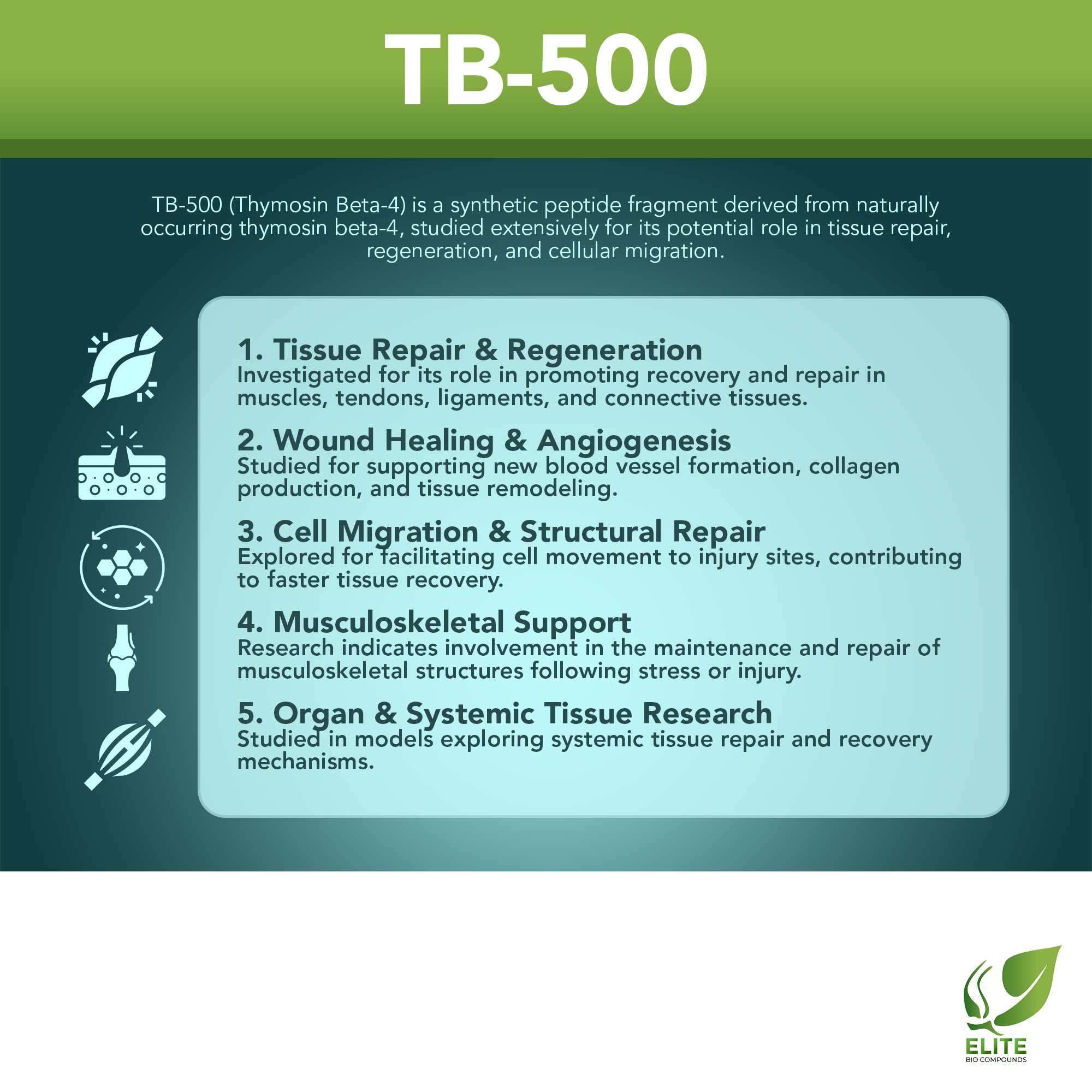 TB-500 (10 mg) | Healing, Recovery & Performance Support| COA Verified