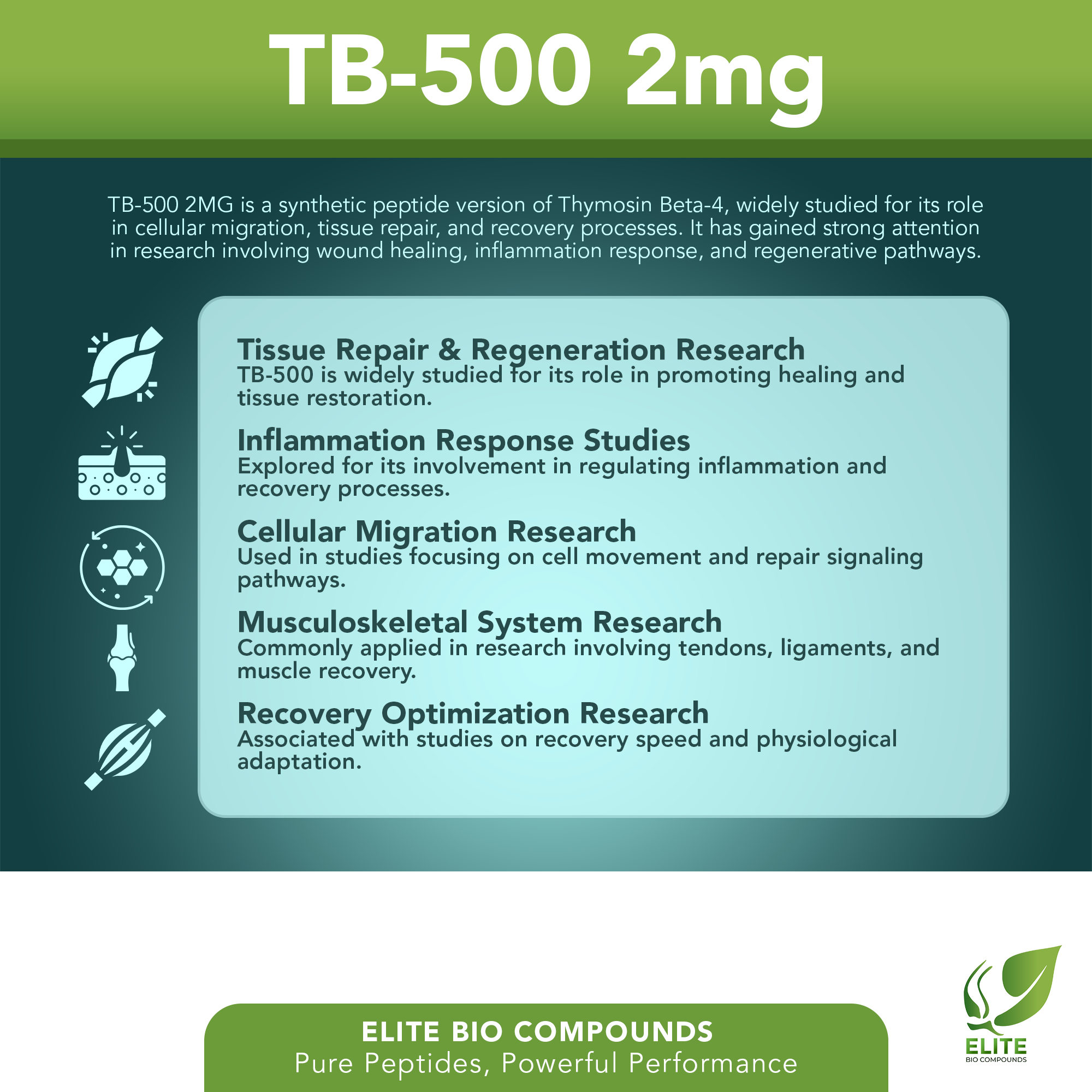 TB-500 (Thymosin Beta-4) 2mg – Joint, Mobility & Recovery Support | COA Verified