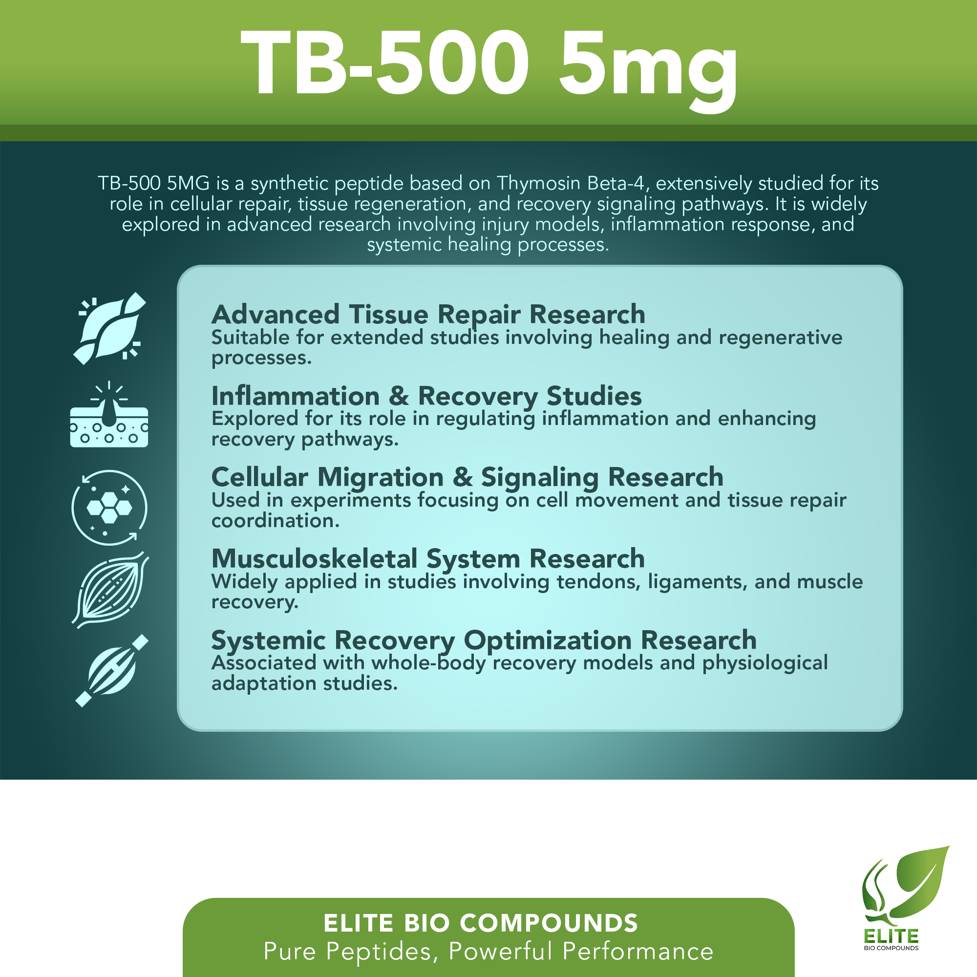 TB-500 (Thymosin Beta-4) 5mg – Recovery, Flexibility & Active Lifestyle Support | COA Verified