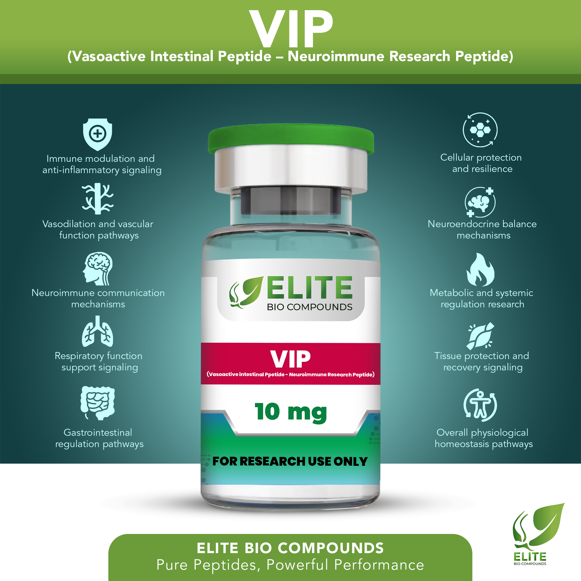 VIP (10 mg) | Immune Function, Cellular Health & Recovery Support | COA Verified