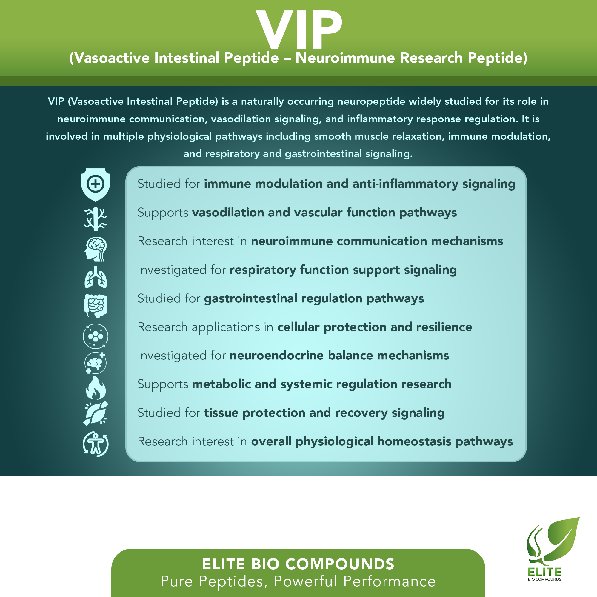 VIP (10 mg) | Immune Function, Cellular Health & Recovery Support | COA Verified